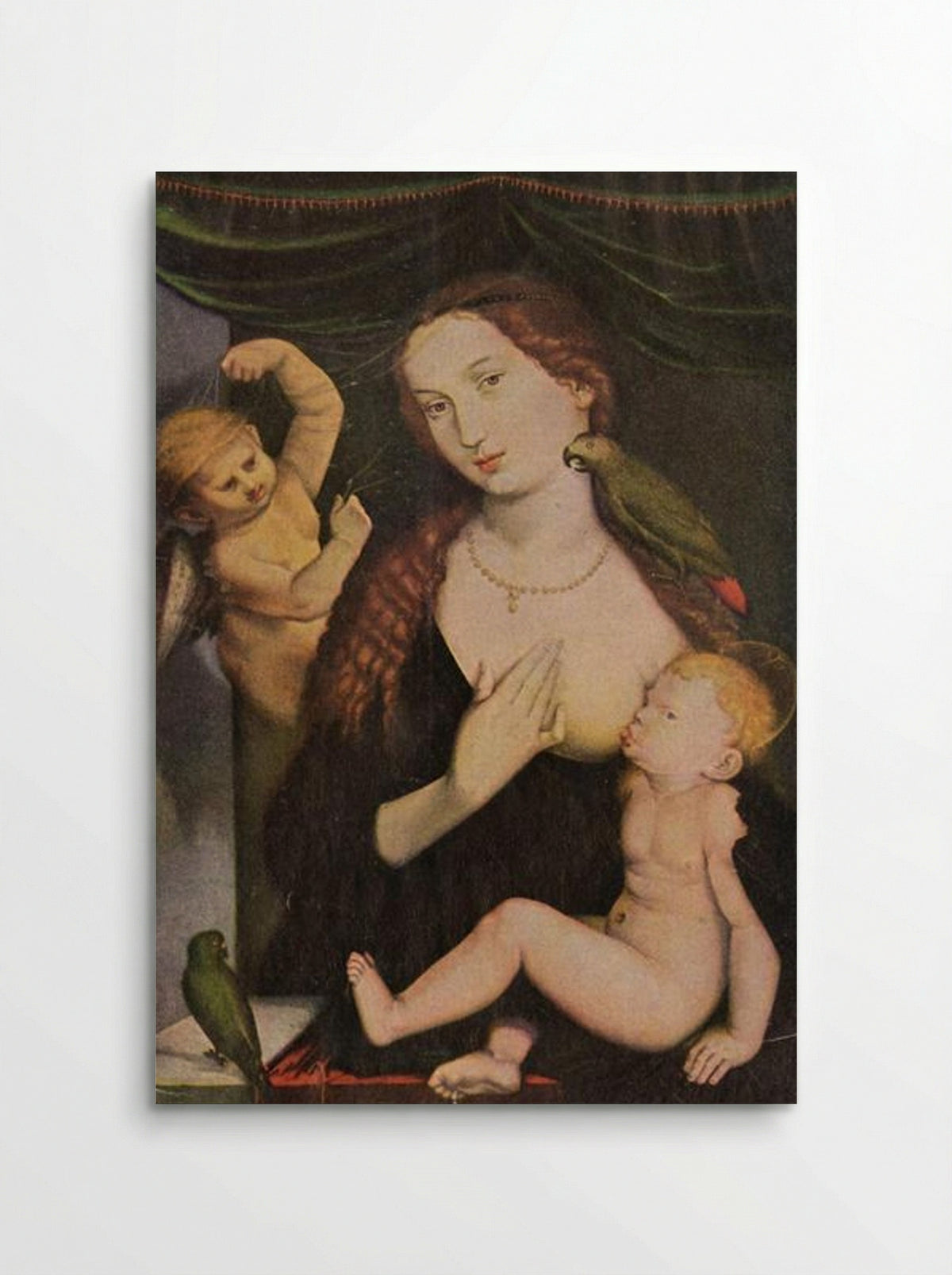 Madonna with the Parrots - Hans Baldung Grien - Poster