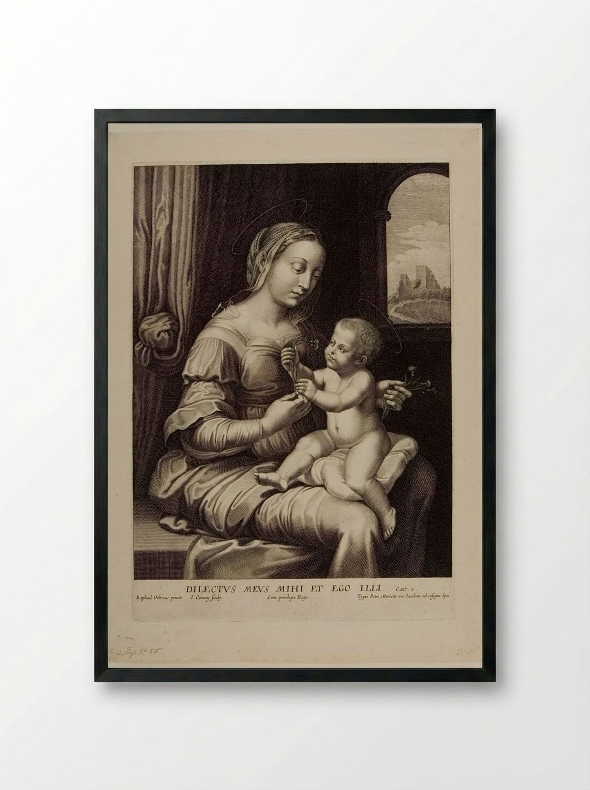Madonna with the Pink - Jean Couvay - Framed Print Black