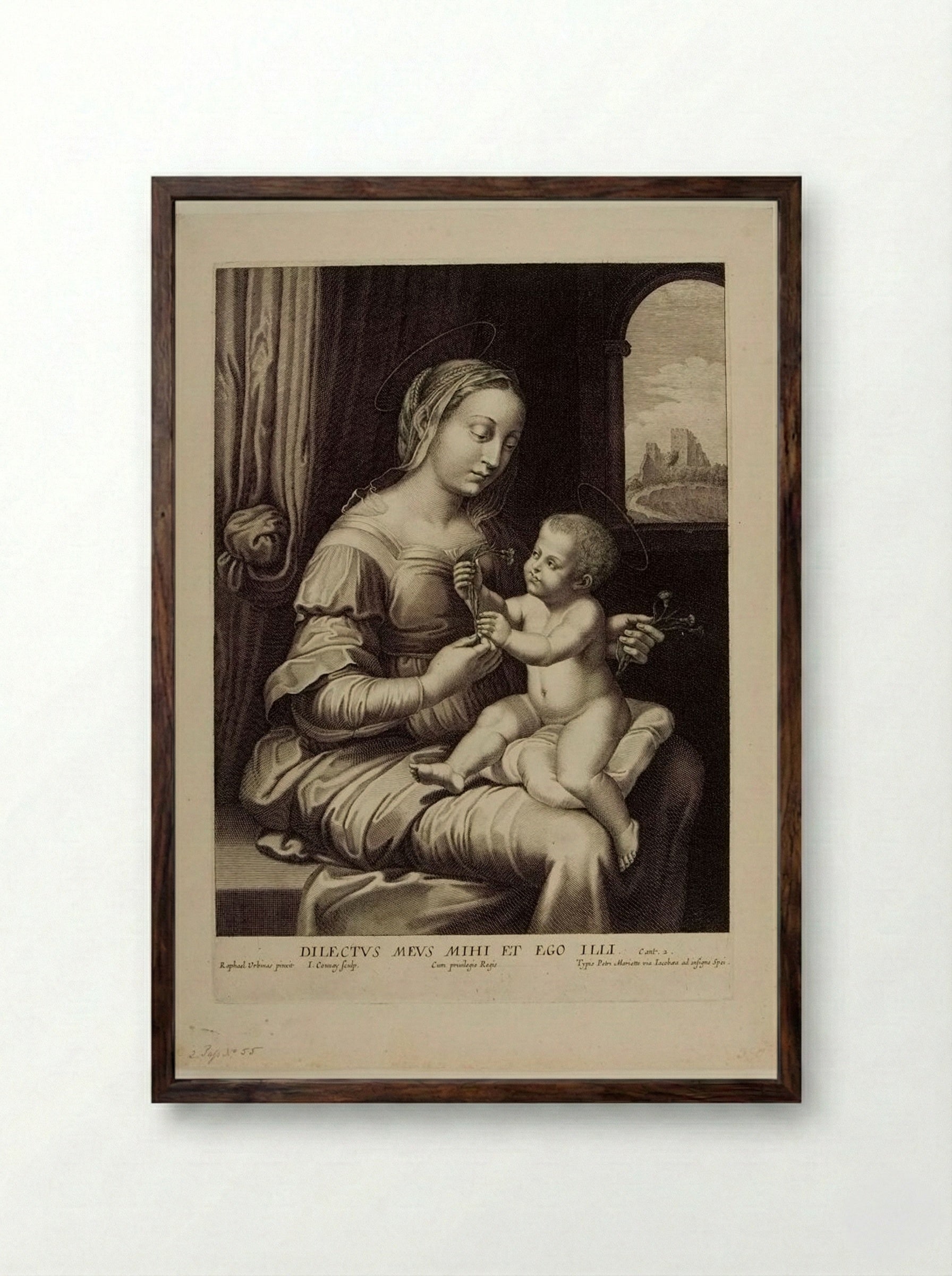 Madonna with the Pink - Jean Couvay - Framed Print Dark Wood