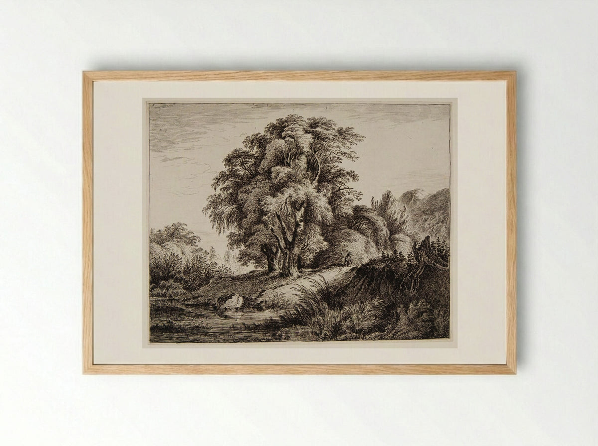 Man Coming Down a Wooded Hill - Franz Rechberger - Framed Print Wood