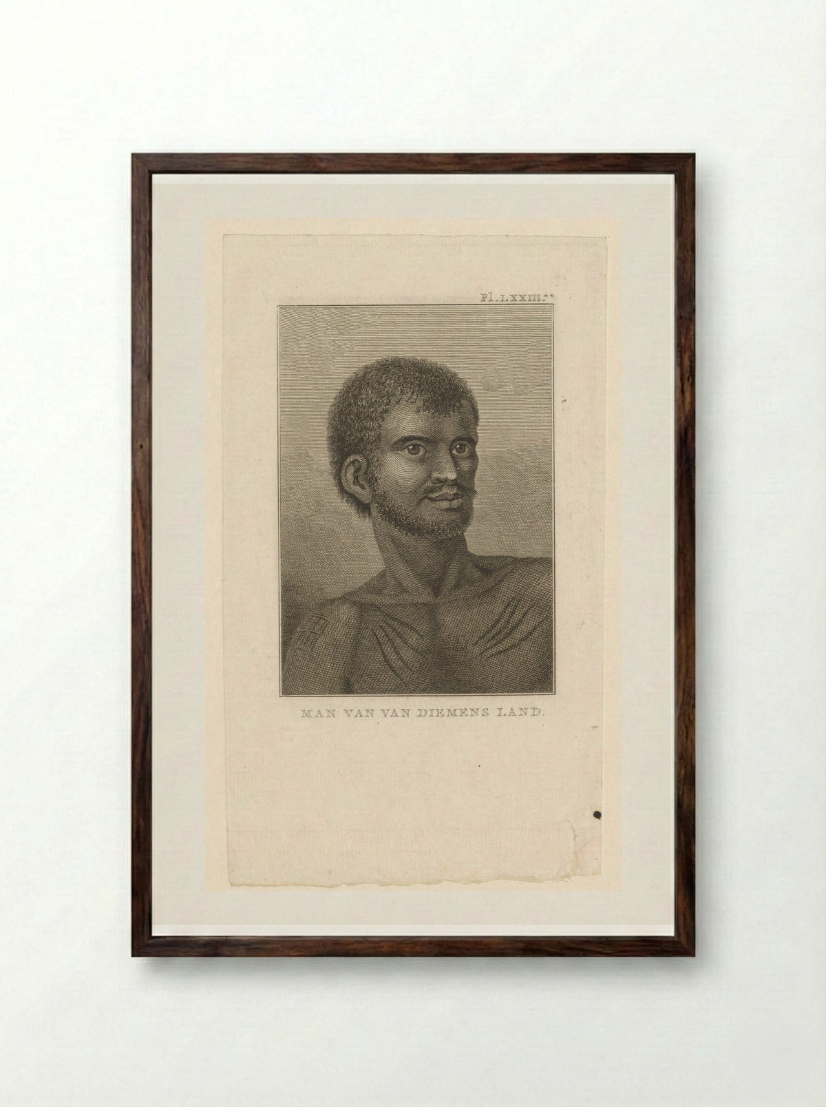 Man van Van Diemens Land - Diverse Vervaardigers - Framed Print Dark Wood