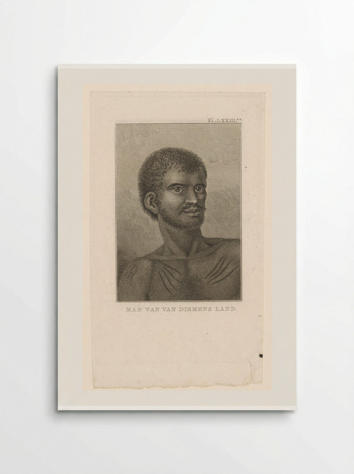 Man van Van Diemens Land - Diverse Vervaardigers - Poster