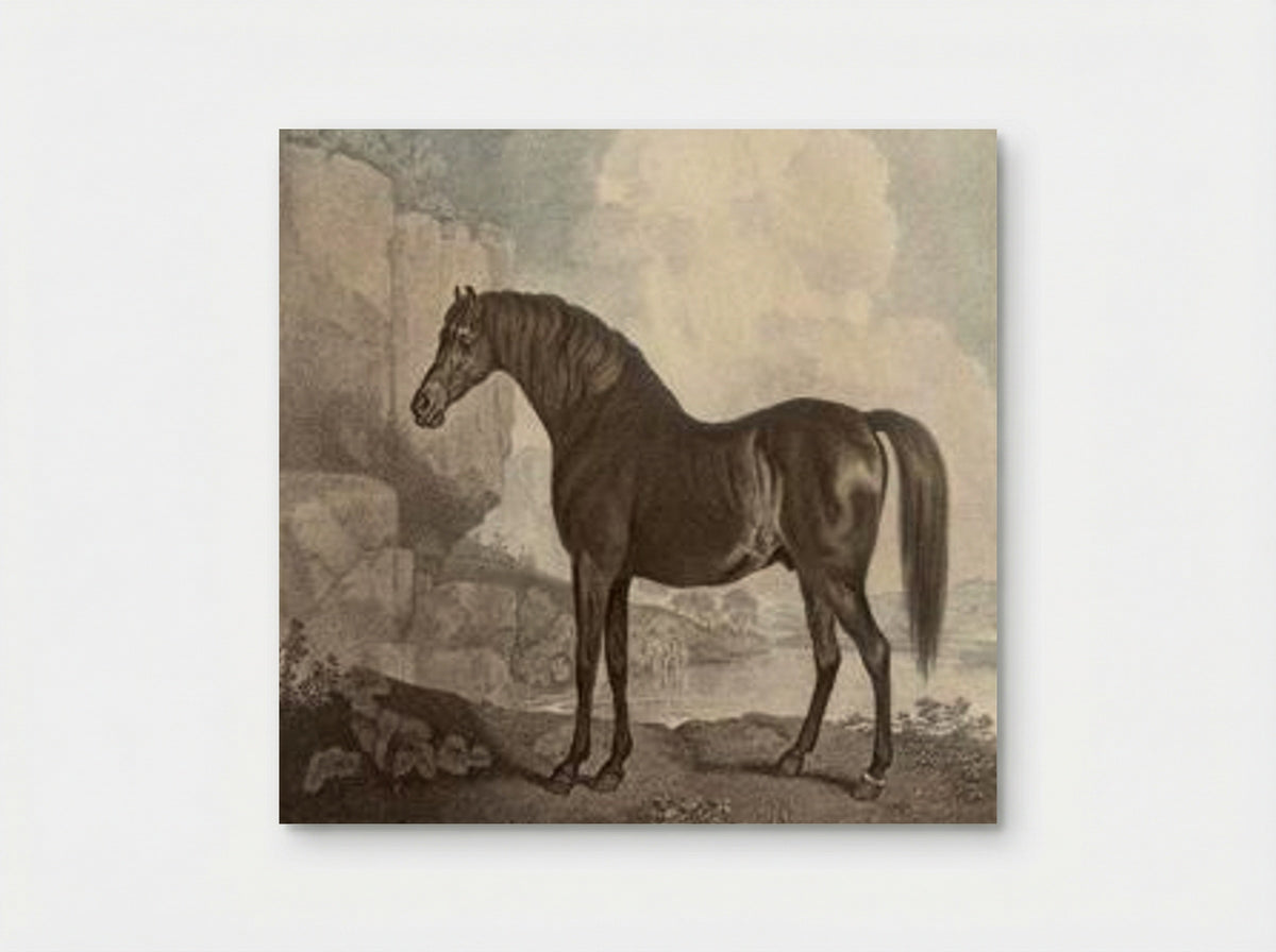 Marske - George Stubbs - Poster