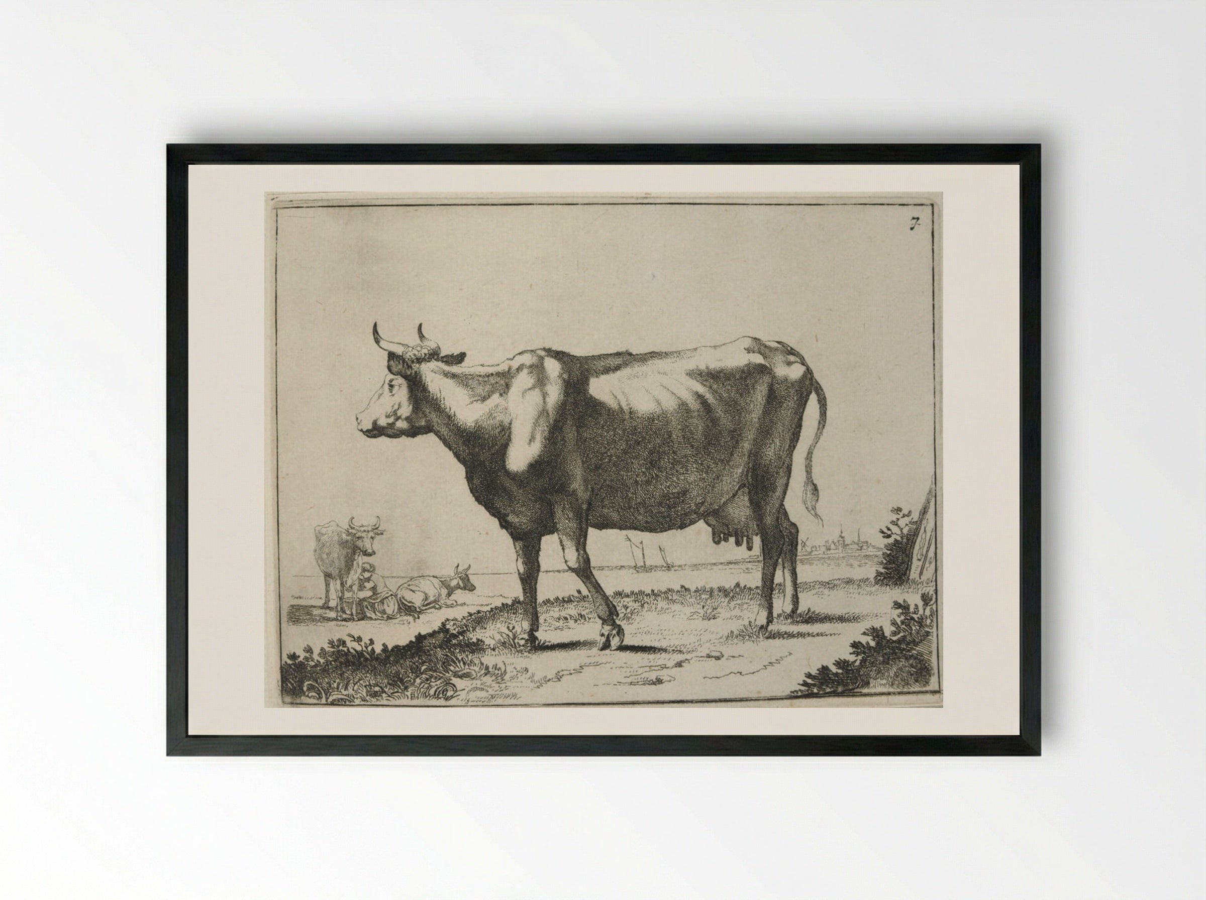 Milk Cow - Paulus Potter - Framed Print Black