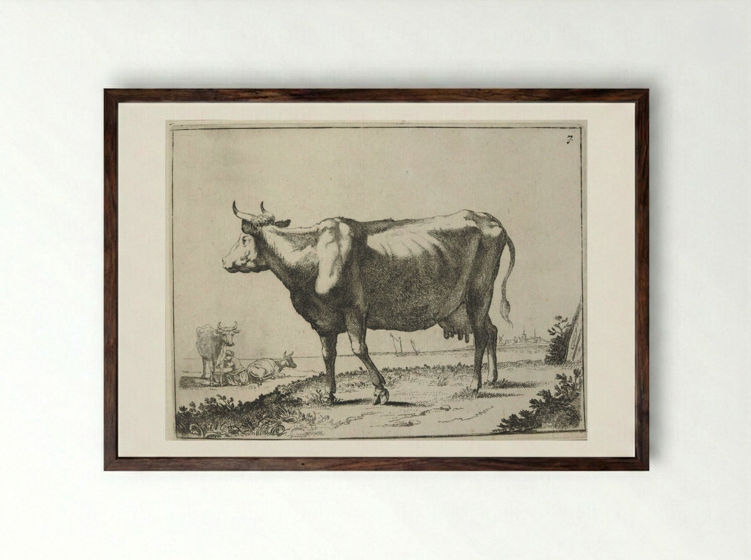 Milk Cow - Paulus Potter - Framed Print Dark Wood