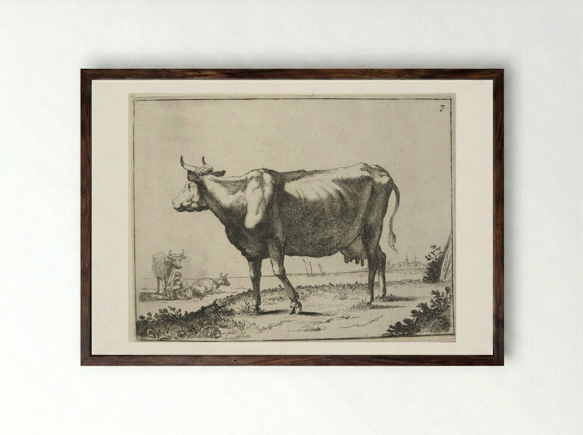 Milk Cow - Paulus Potter - Framed Print Dark Wood