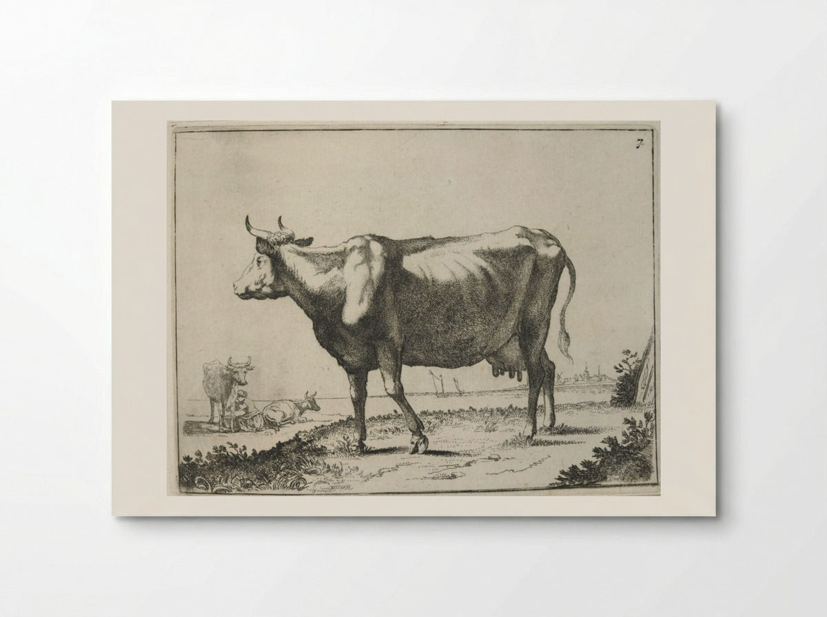 Milk Cow - Paulus Potter - Poster
