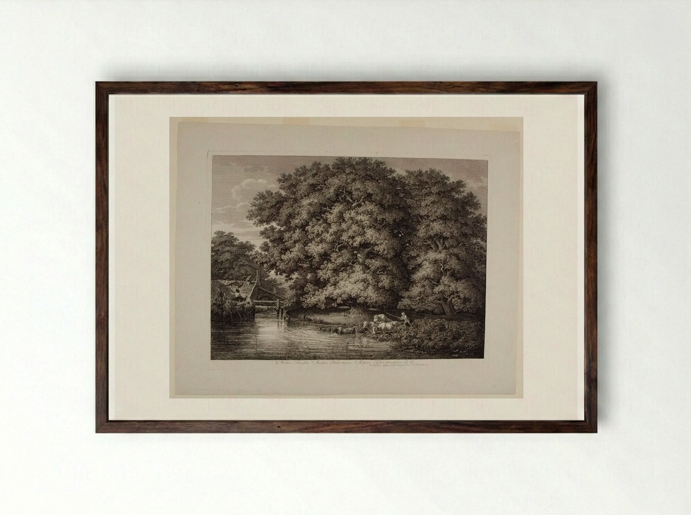 Mill by the Great Oak - Johann Christian Reinhart - Framed Print Dark Wood