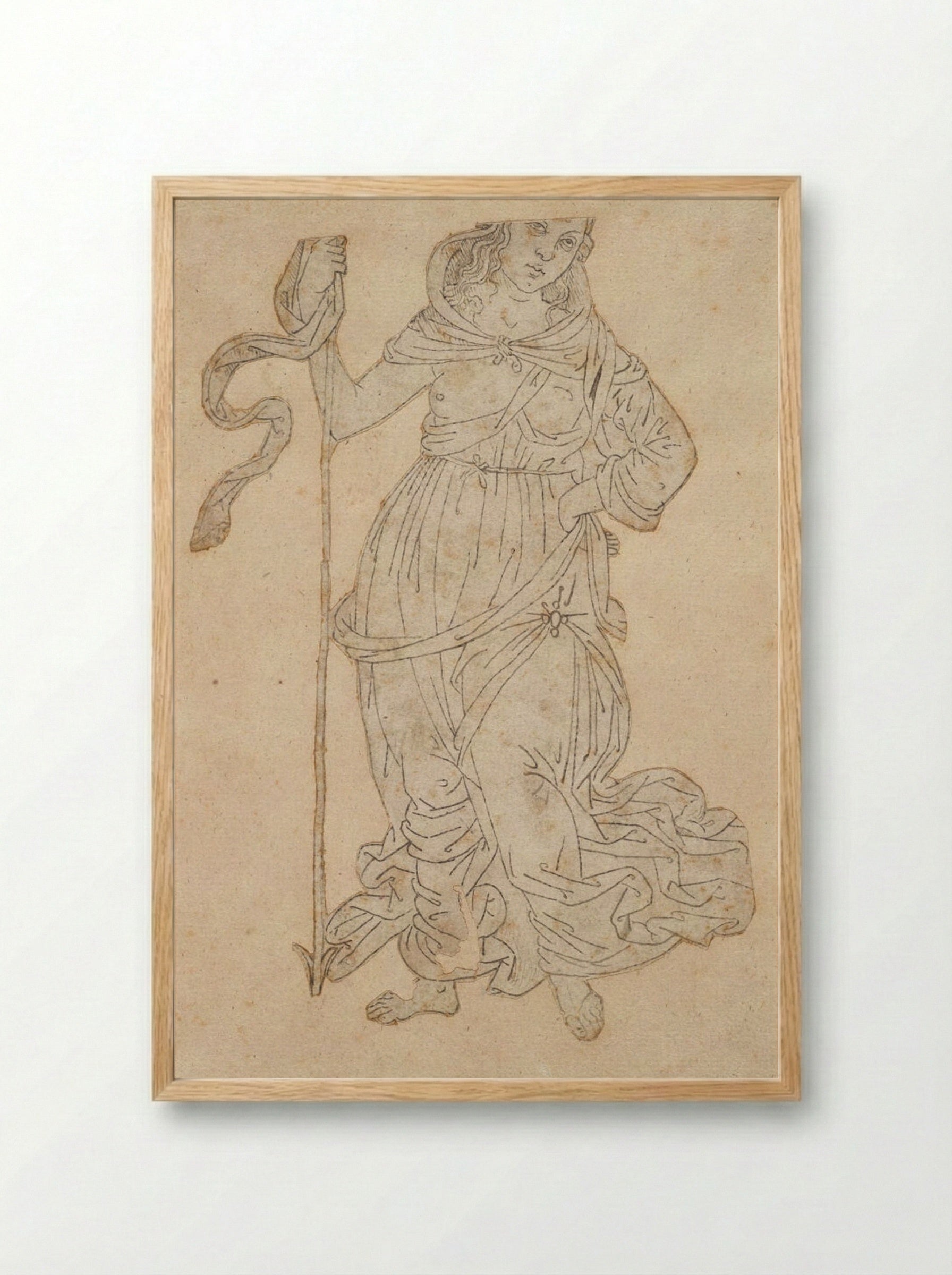 Minerva - Jacopo del Sellaio - Framed Print Wood