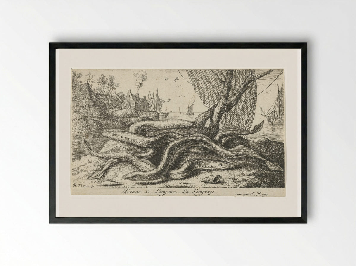 Muræna sive Lampetra (Lampreys on a Riverbank) - Albert Flamen - Framed Print Black
