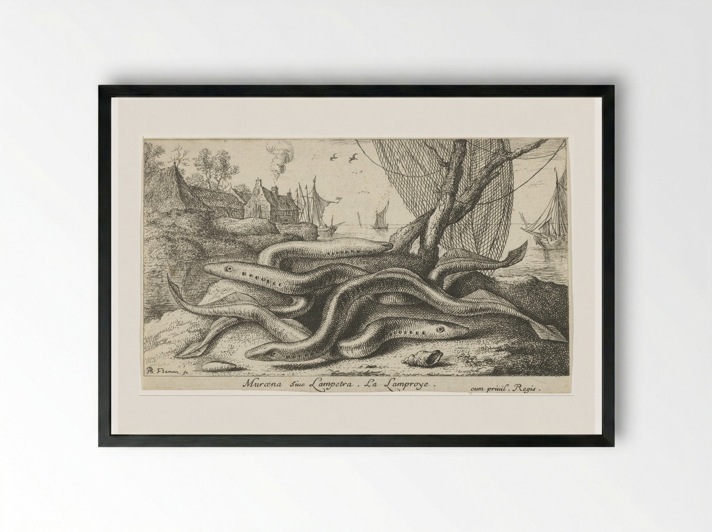 Muræna sive Lampetra (Lampreys on a Riverbank) - Albert Flamen - Framed Print Black