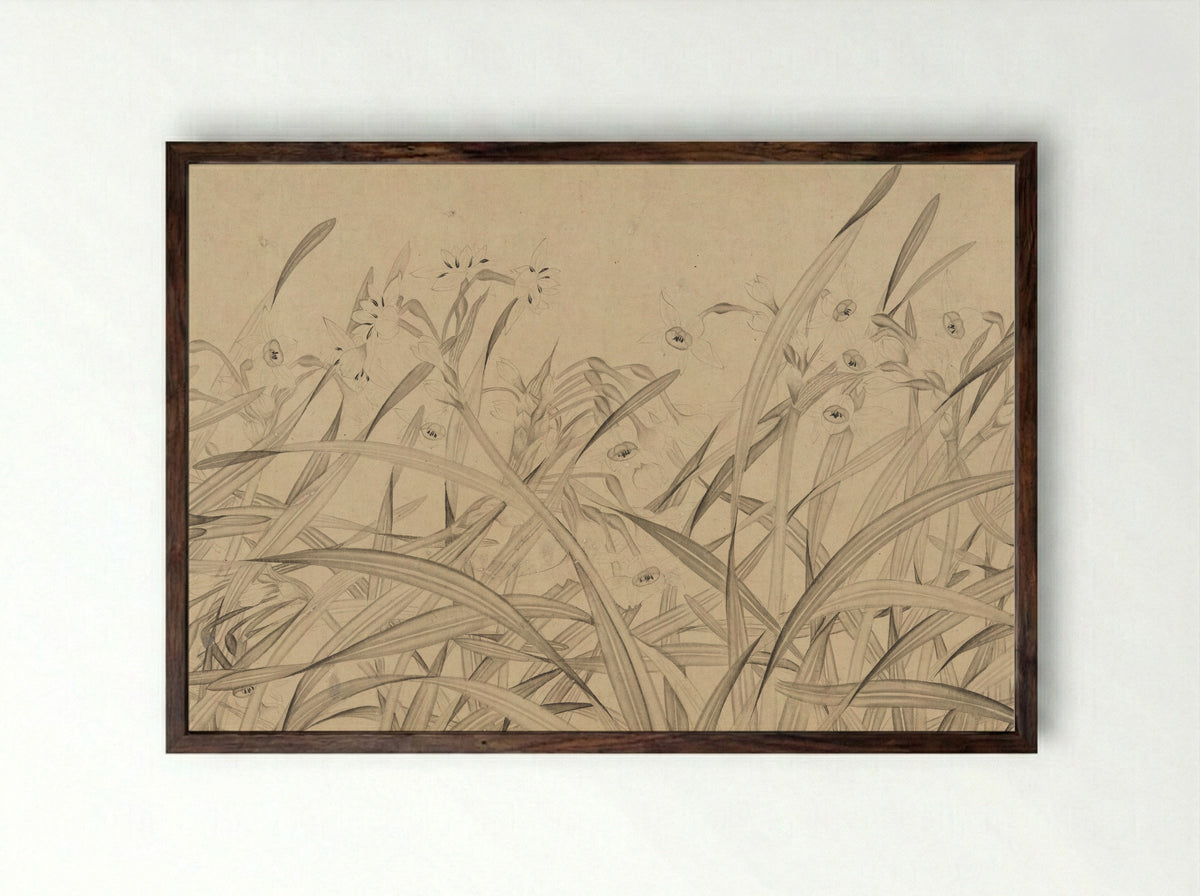 Narcissus - Zhao Mengjian - Framed Print Dark Wood