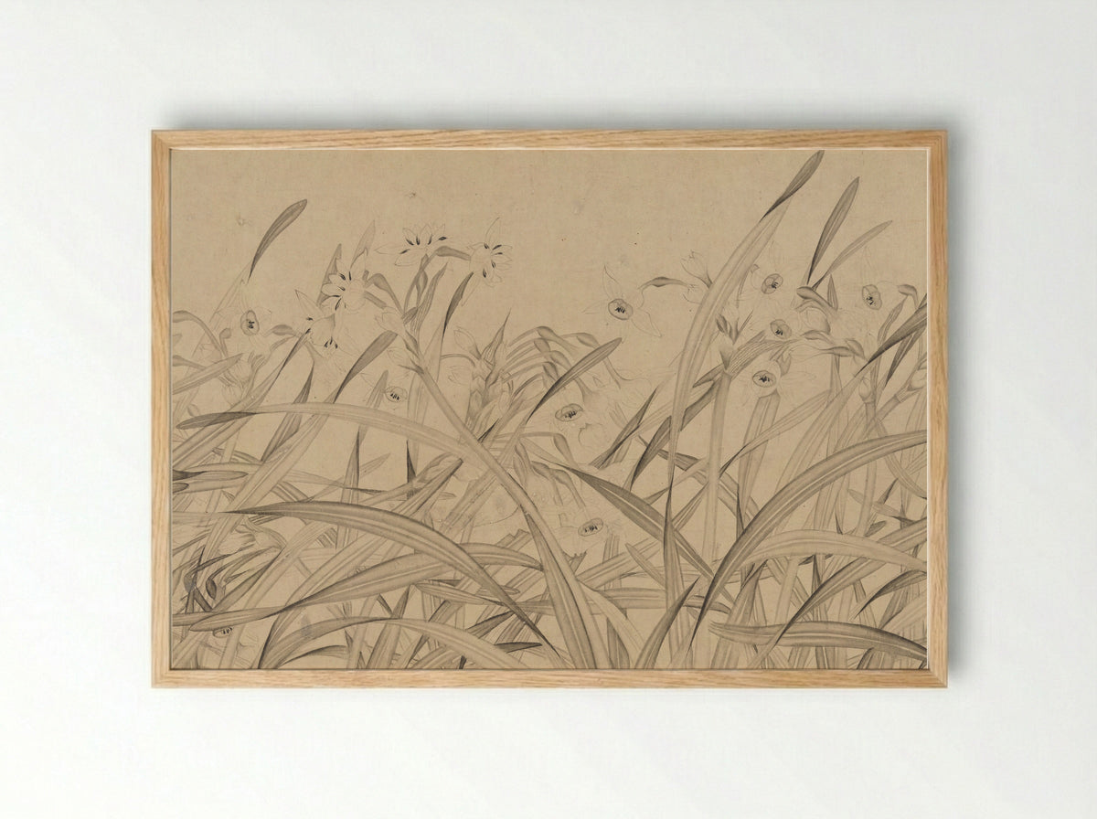 Narcissus - Zhao Mengjian - Framed Print Wood