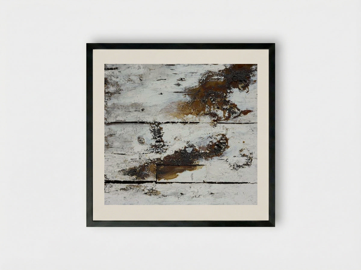 Natural History - Joseph Beuys - Framed Print Black