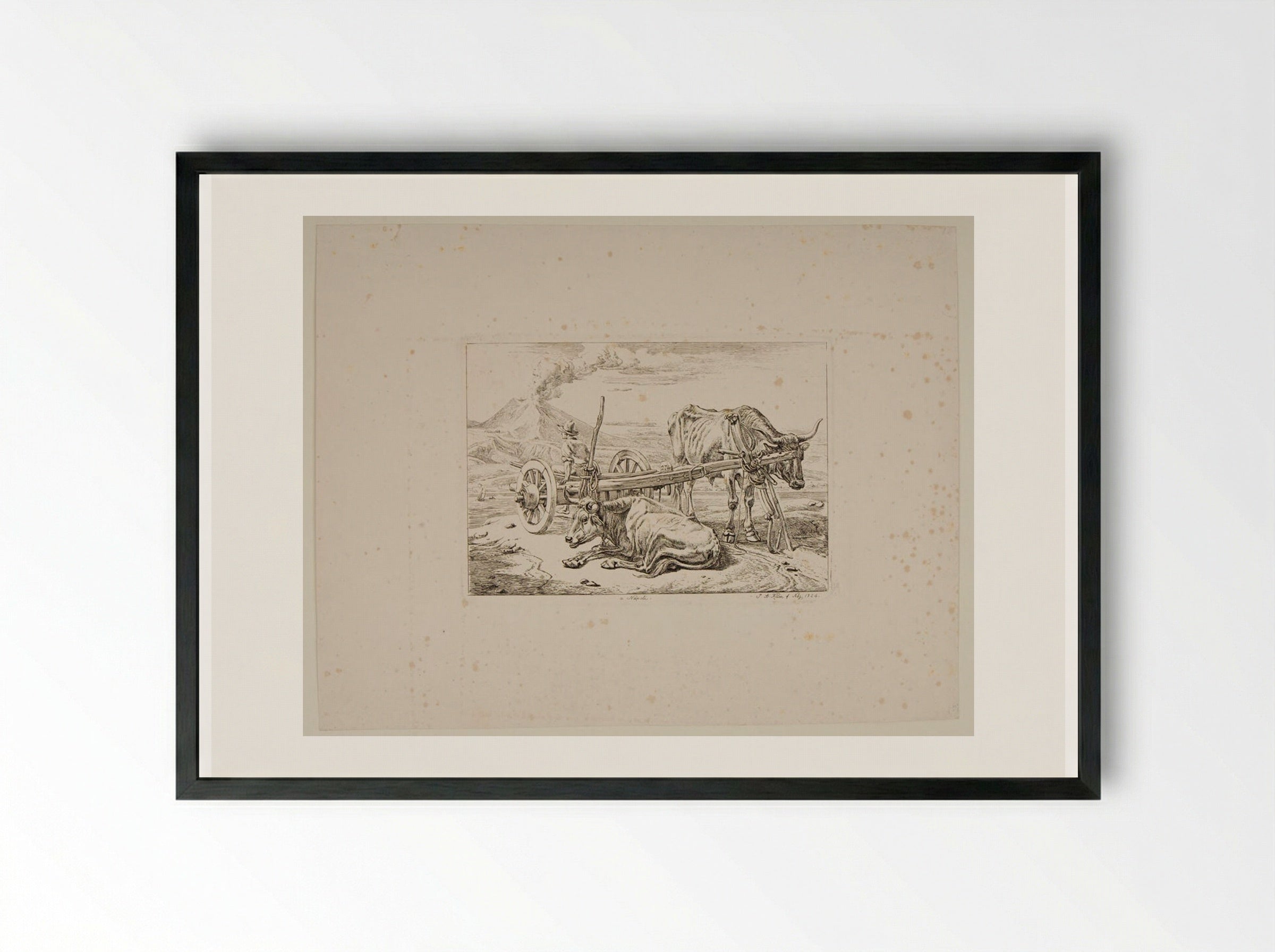 Neapolitan Ox-Cart - Johann Adam Klein - Framed Print Black