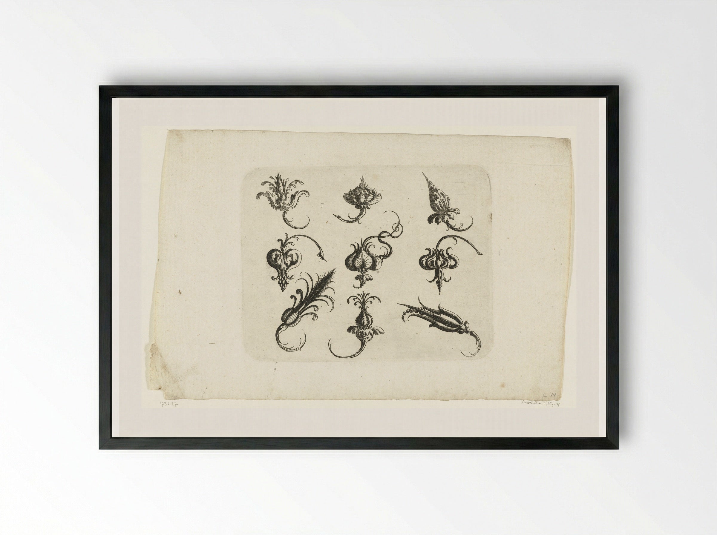 Negen fantasie-bloemen en vruchten - Christoph Jamnitzer - Framed Print Black