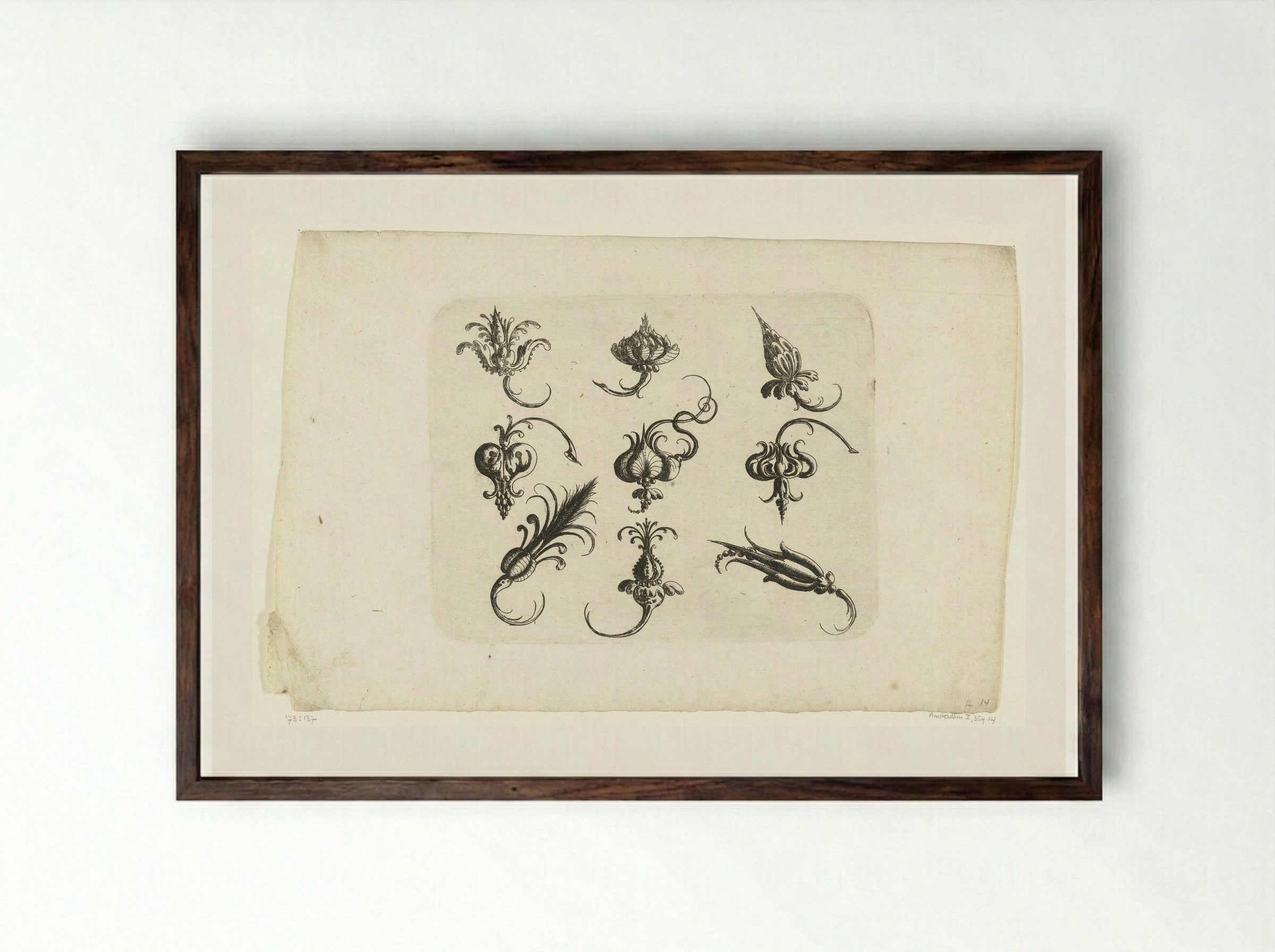 Negen fantasie-bloemen en vruchten - Christoph Jamnitzer - Framed Print Dark Wood