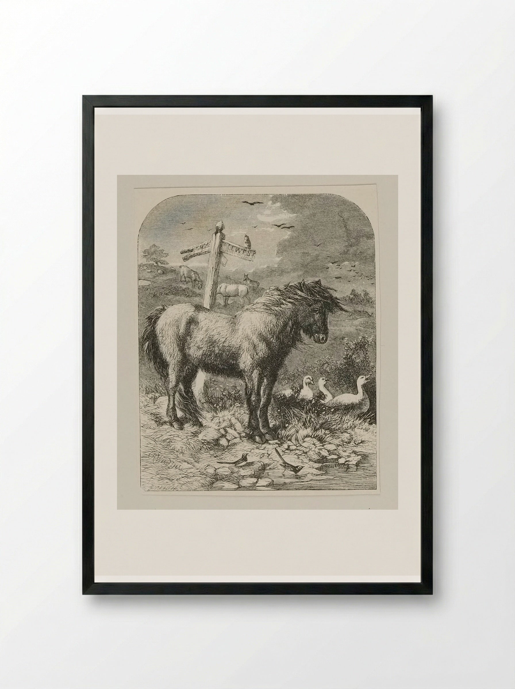 Neglected Pony - Edward Dalziel - Framed Print Black