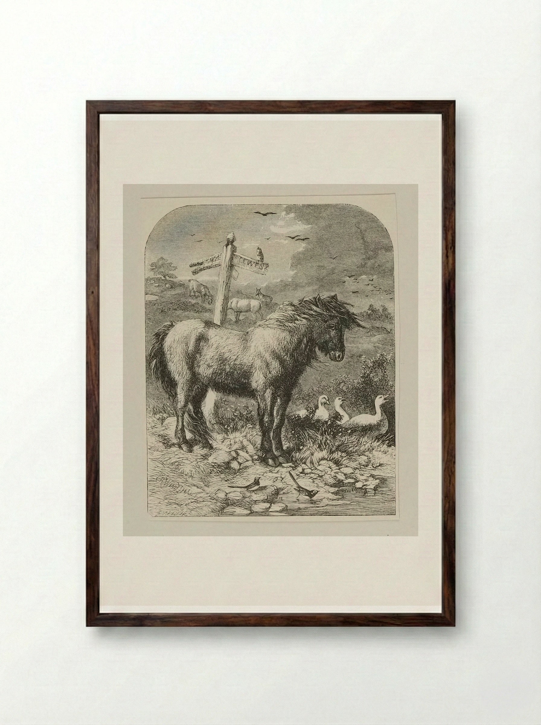 Neglected Pony - Edward Dalziel - Framed Print Dark Wood