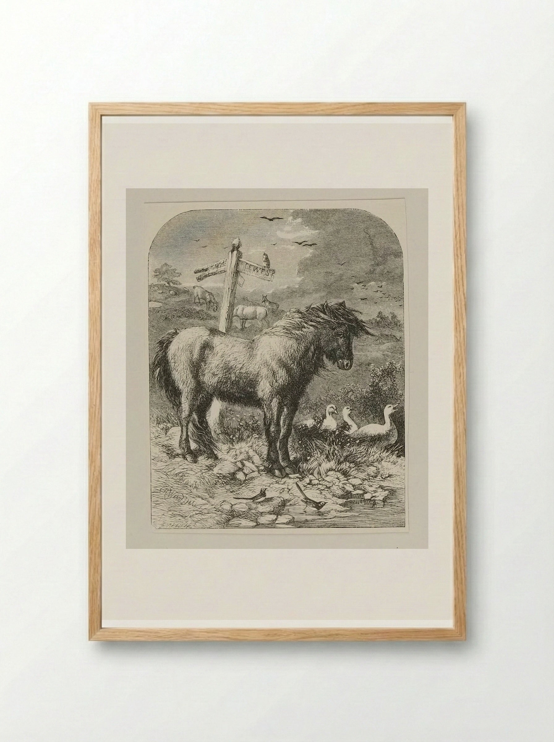 Neglected Pony - Edward Dalziel - Framed Print Wood