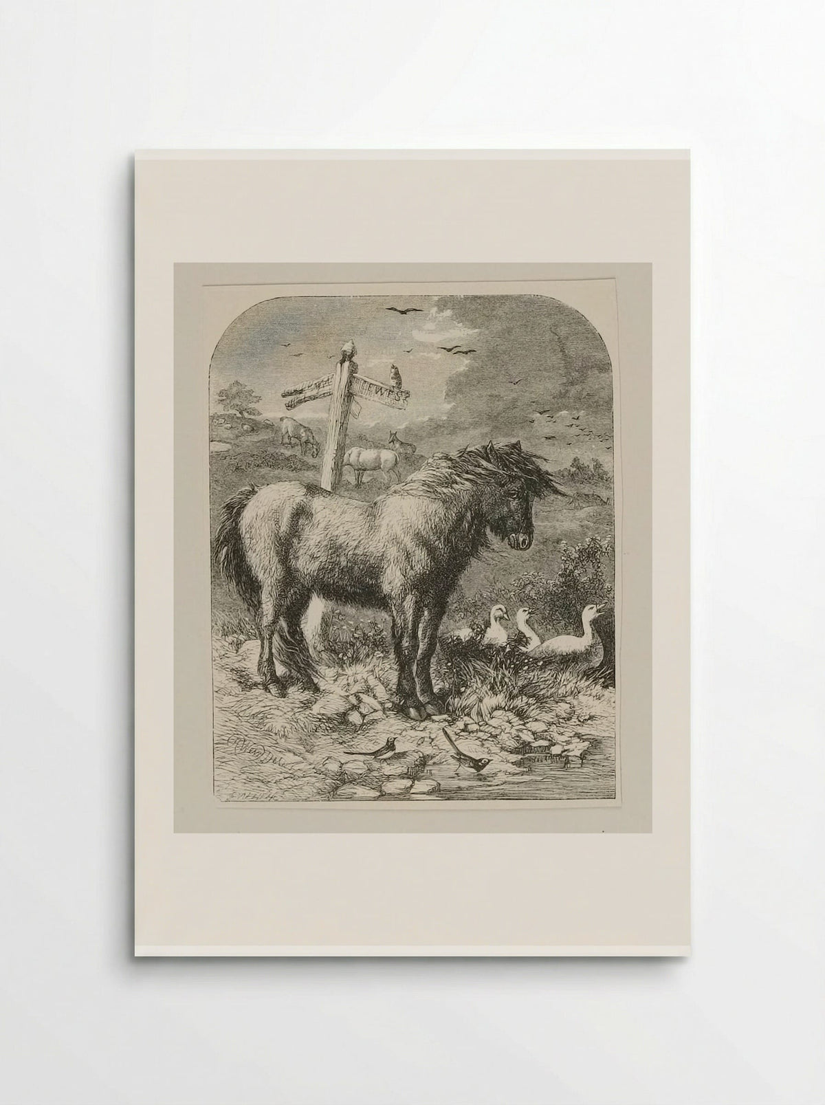 Neglected Pony - Edward Dalziel - Poster