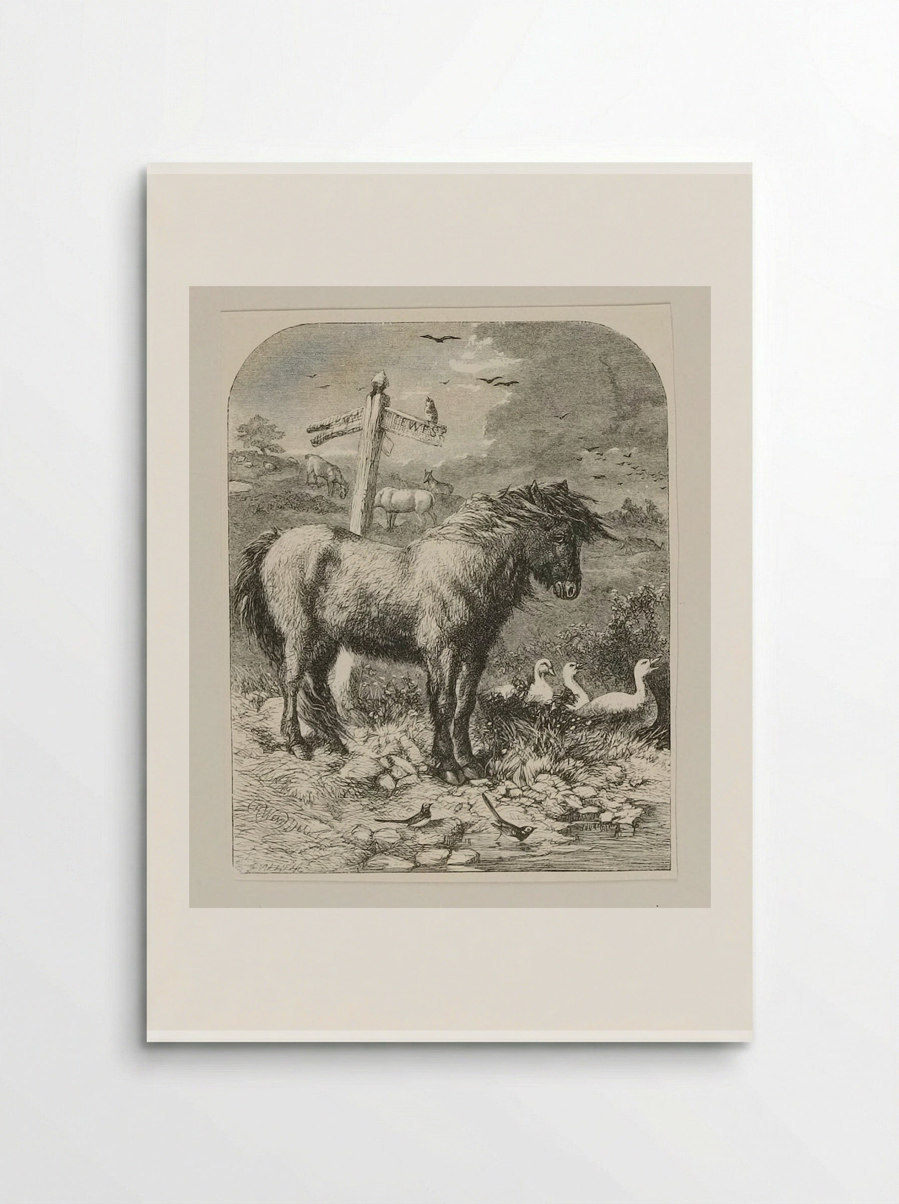 Neglected Pony - Edward Dalziel - Poster