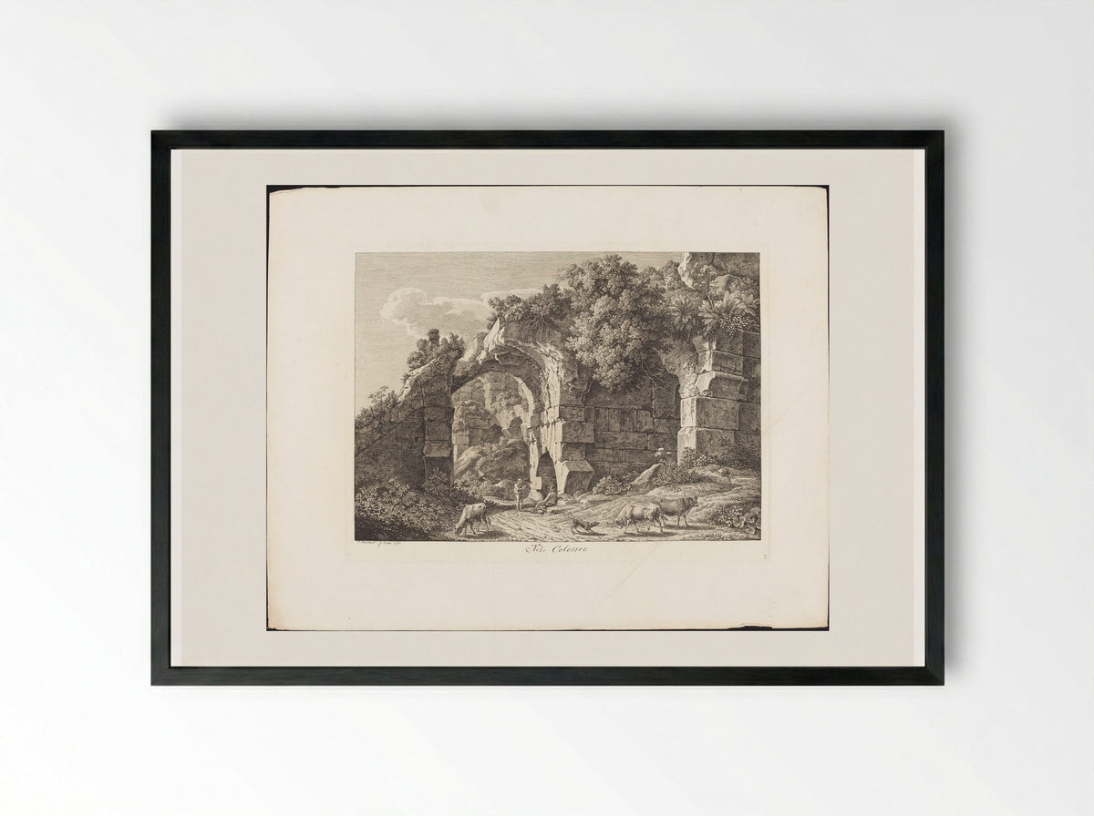Nel Colosseo - Johann Christian Reinhart - Framed Print Black