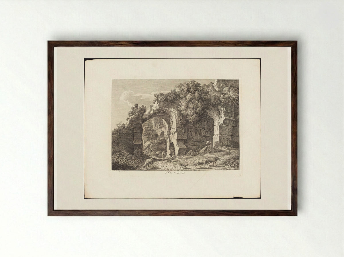 Nel Colosseo - Johann Christian Reinhart - Framed Print Dark Wood