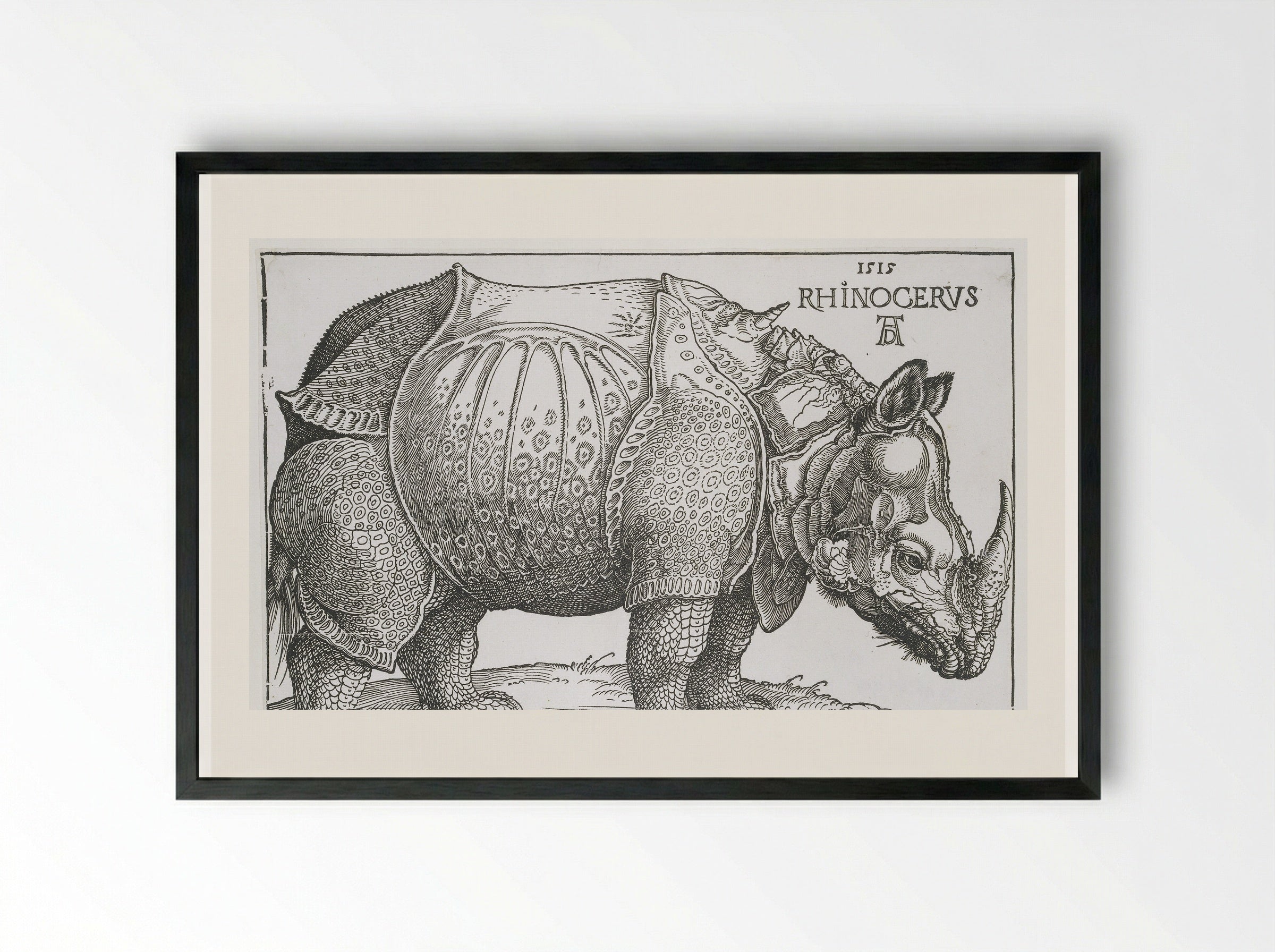 Neushoorn (Rhinoceros) - Hendrick Hondius (I) - Framed Print Black