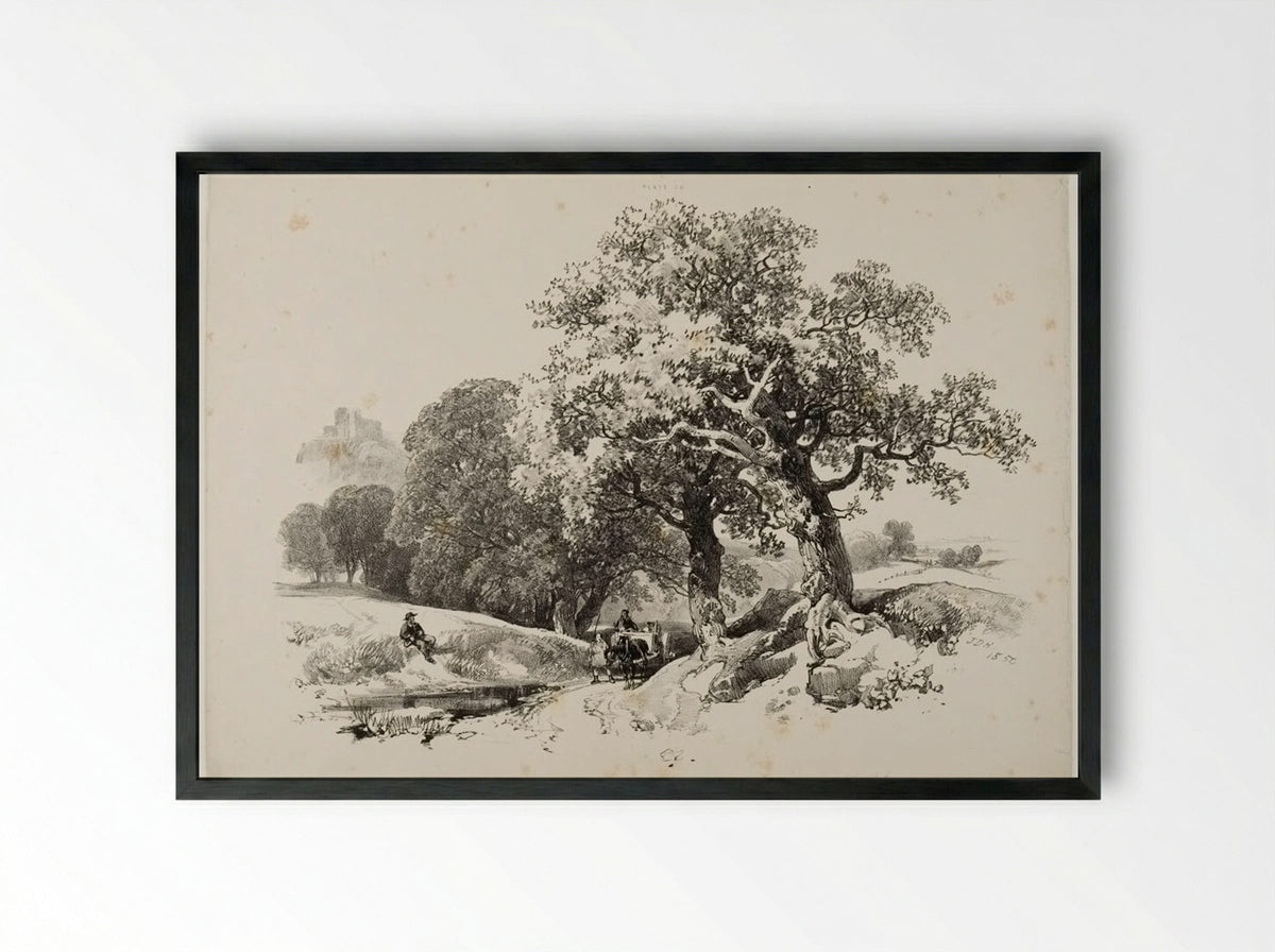Old Oaks - James Duffield Harding - Framed Print Black