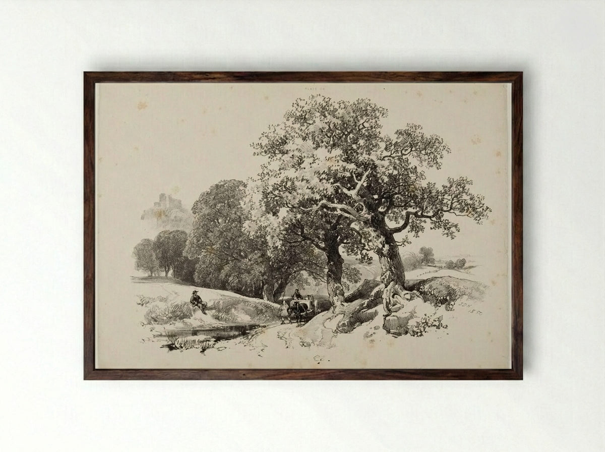 Old Oaks - James Duffield Harding - Framed Print Dark Wood
