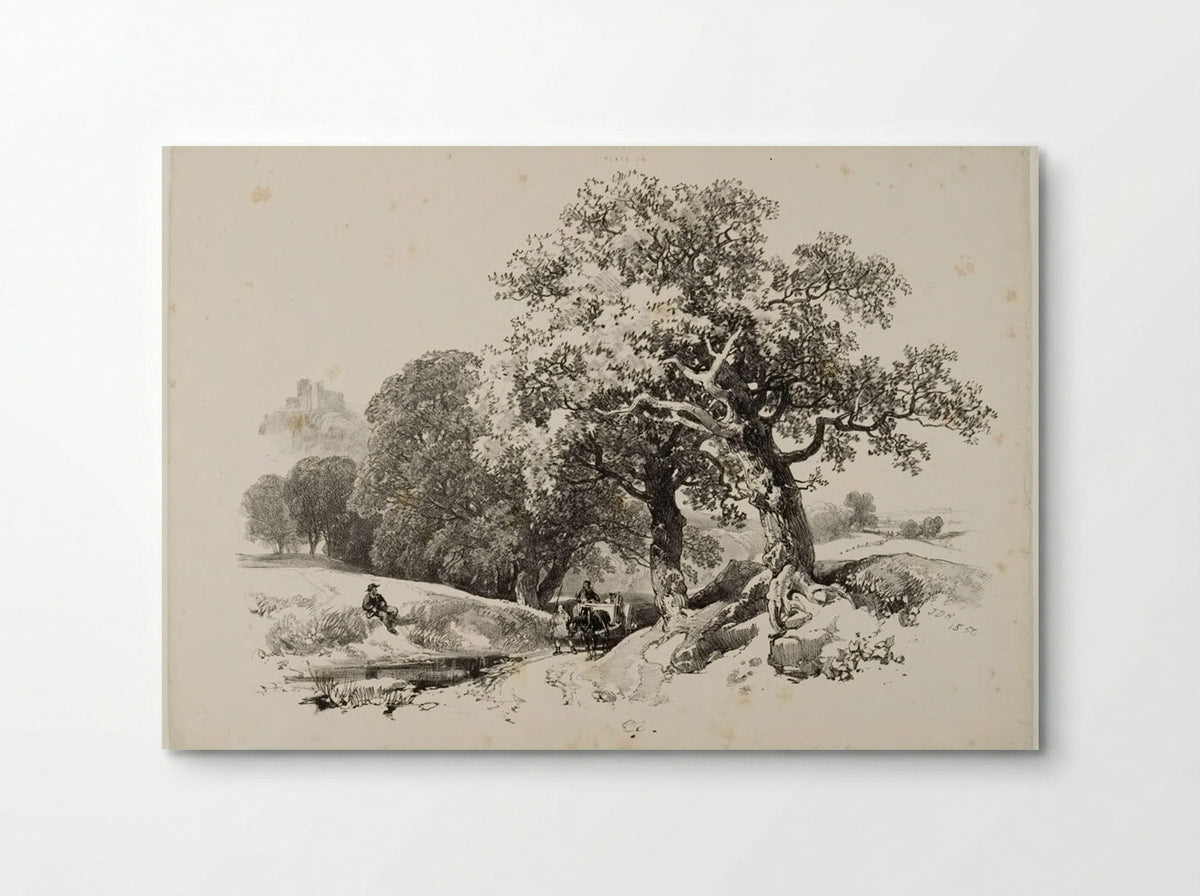 Old Oaks - James Duffield Harding - Poster