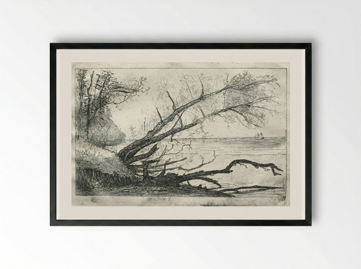 Old Sycamore - Otto H. Bacher - Framed Print Black