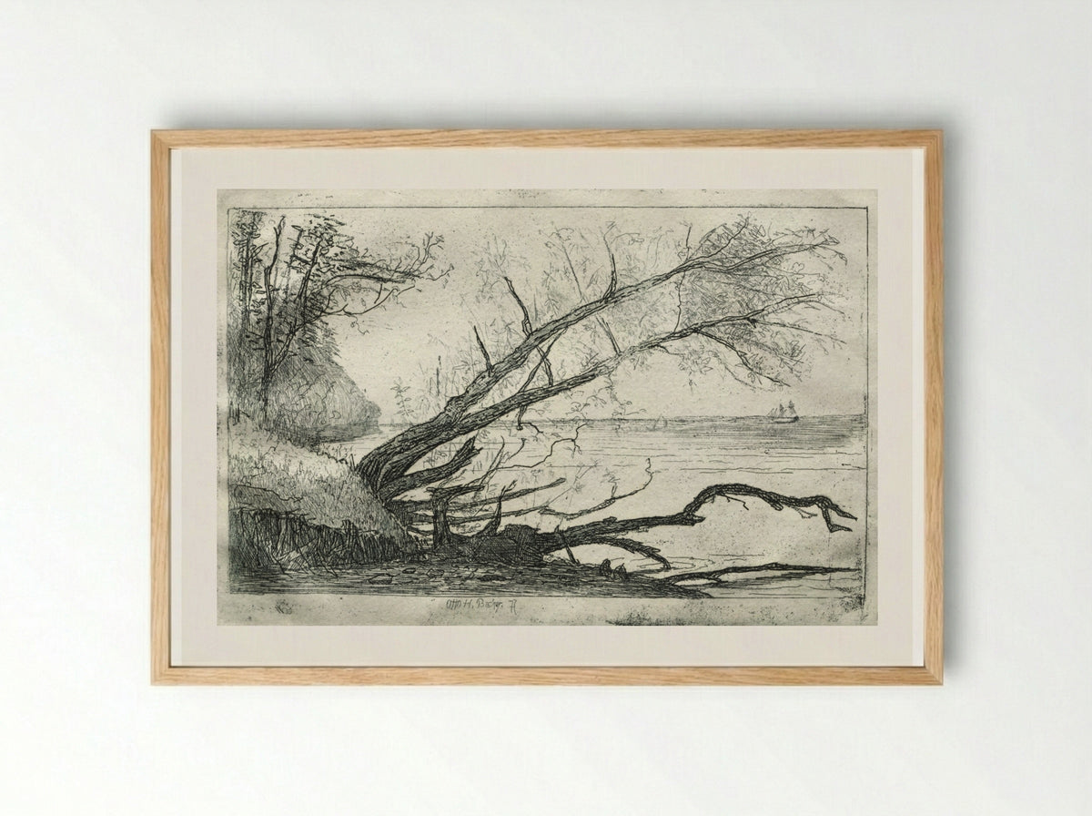 Old Sycamore - Otto H. Bacher - Framed Print Wood