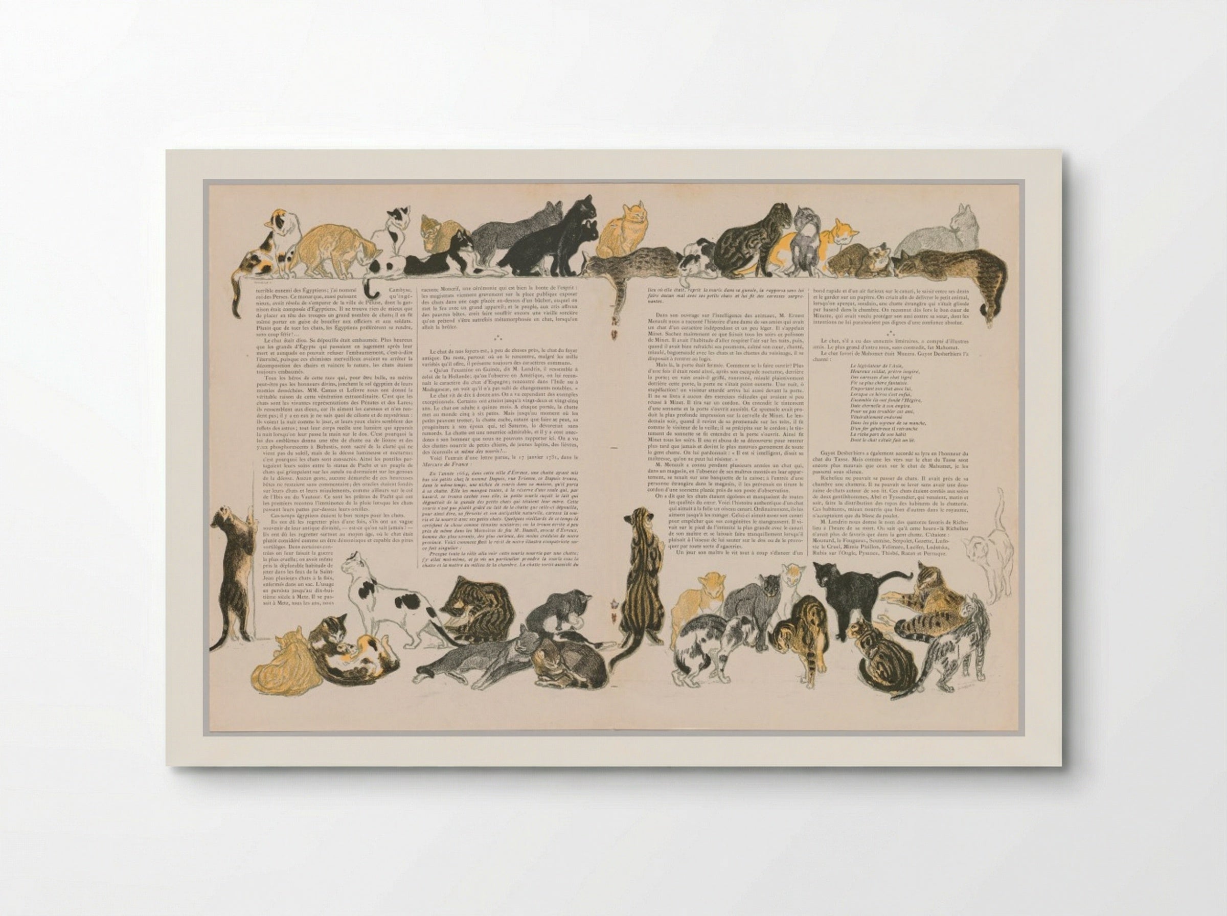 On Cats (Des Chats) - Théophile Alexandre Steinlen - Poster