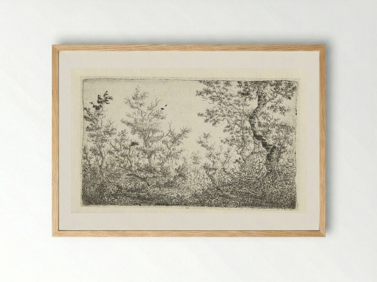Open plek in het bos - Claes van Beresteyn - Framed Print Wood