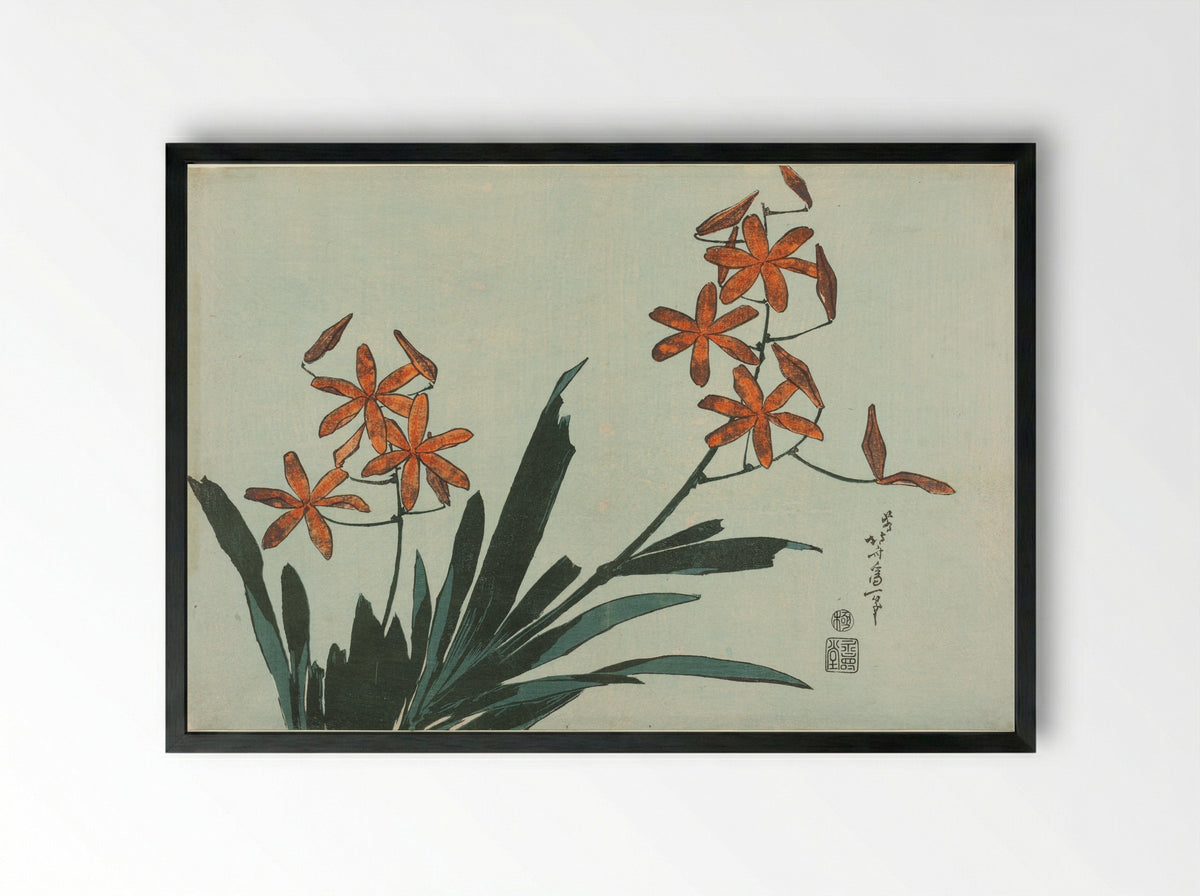 Orange Orchids - Katsushika Hokusai - Framed Print Black