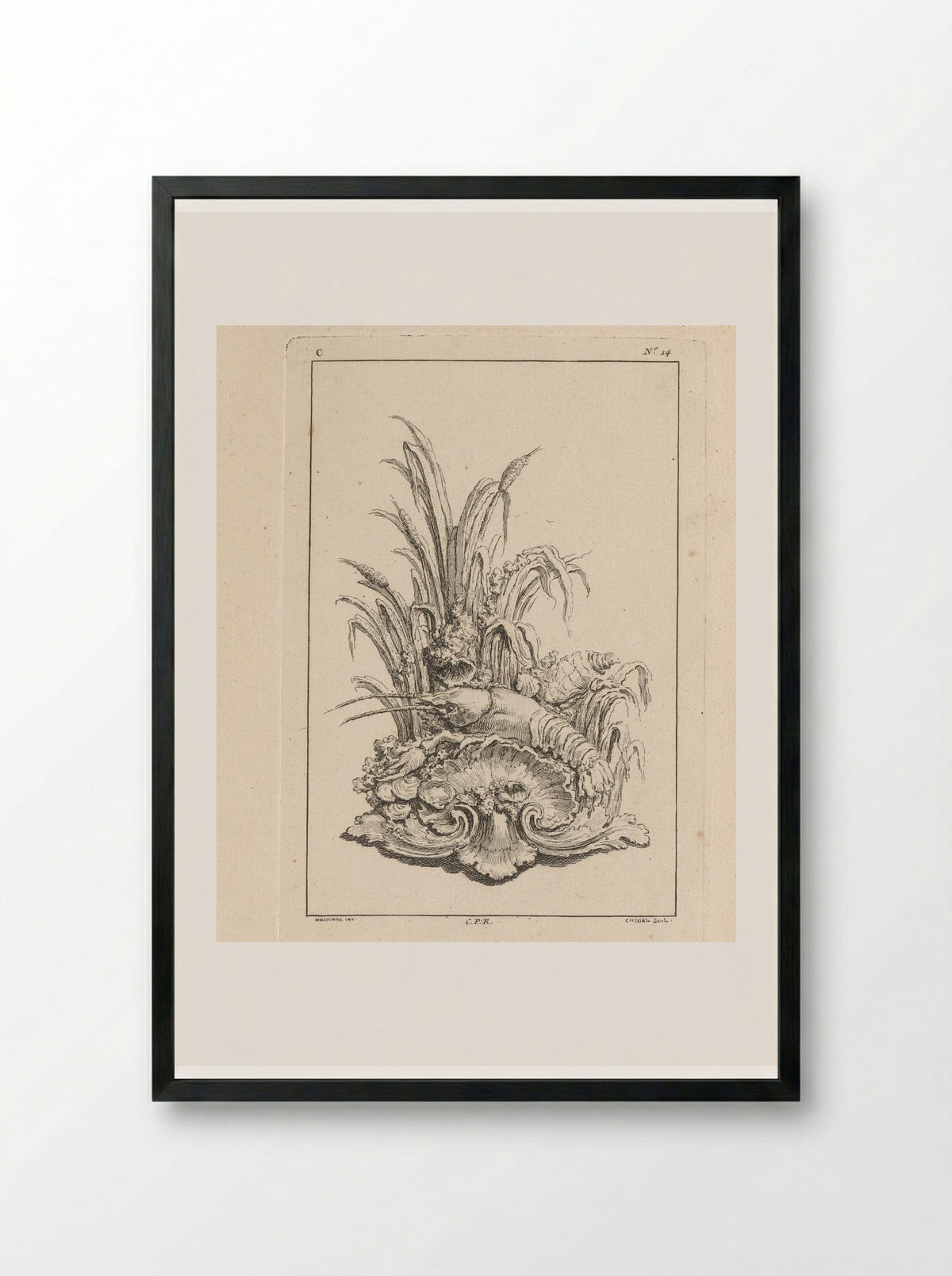 Ornament with Shell, Crayfish and Oysters - Gabriel Huquier - Framed Print Black