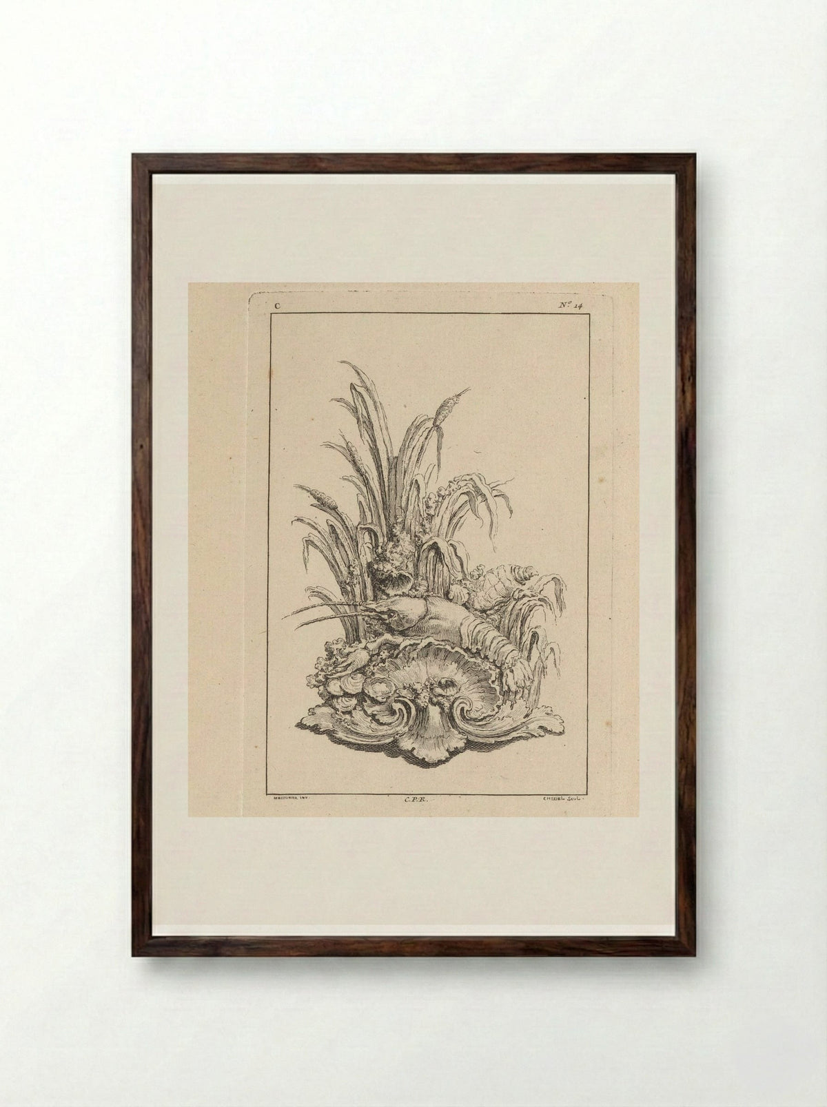 Ornament with Shell, Crayfish and Oysters - Gabriel Huquier - Framed Print Dark Wood
