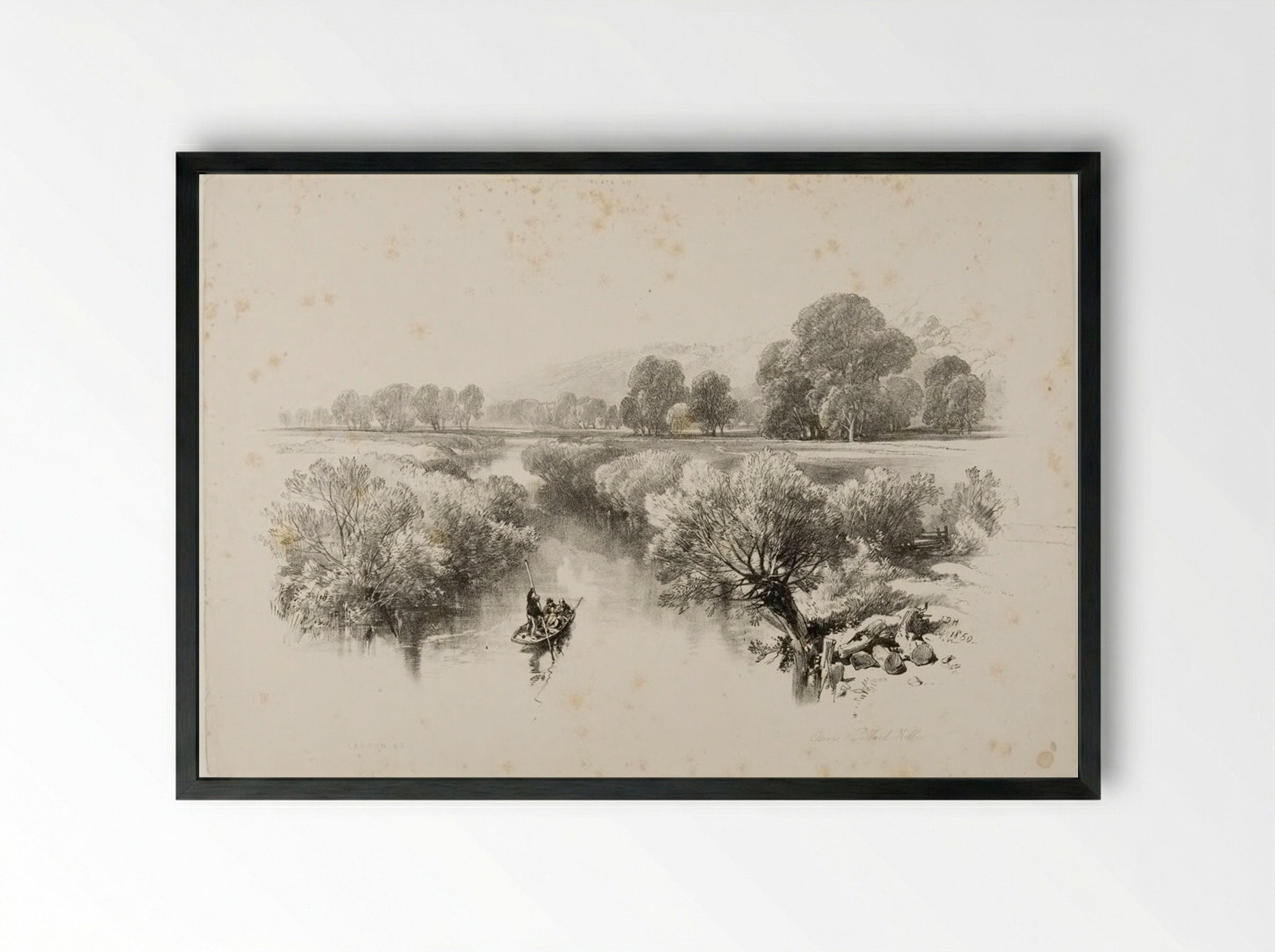 Osiers and Pollard Willow - James Duffield Harding - Framed Print Black