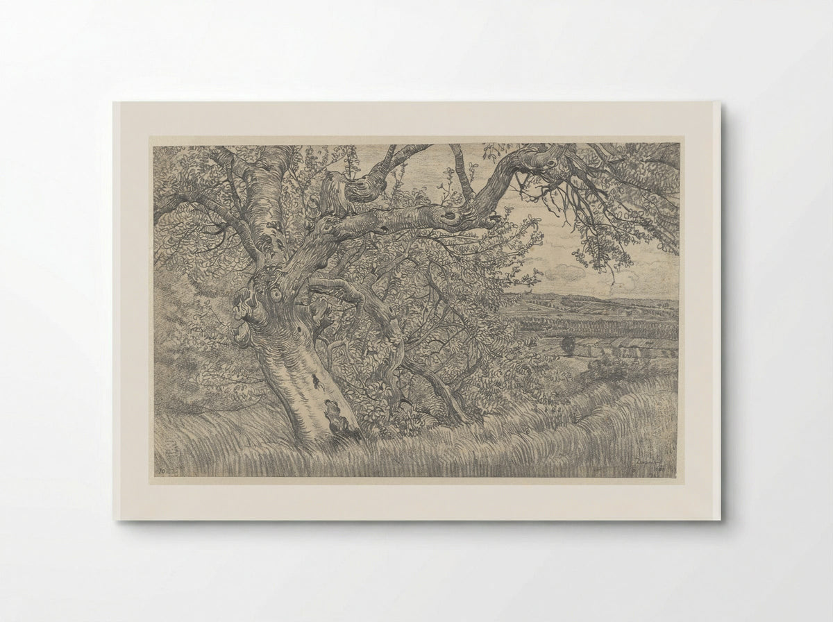 Oude boom in glooiend landschap - Pieter Dupont - Poster