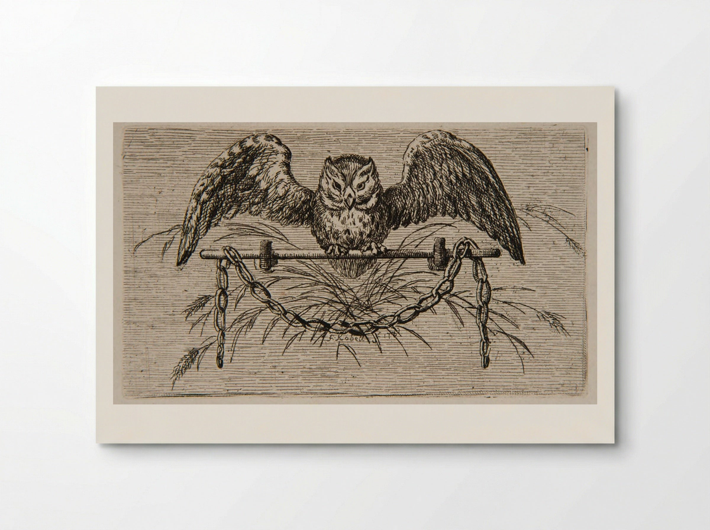 Owl - Ferdinand Kobell - Poster