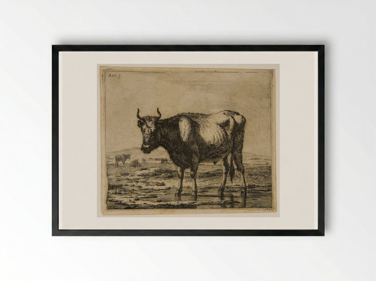 Ox Standing in the Water - Adriaen van de Velde - Framed Print Black