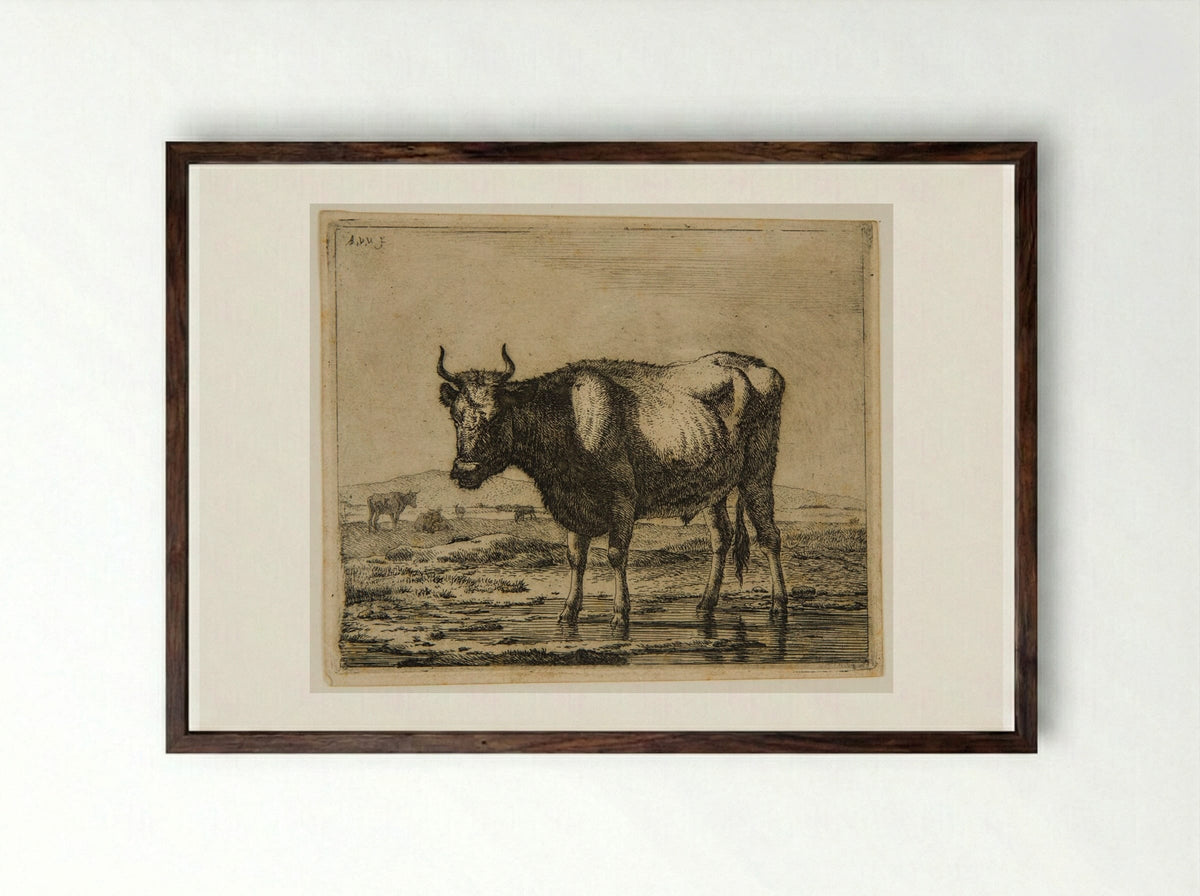 Ox Standing in the Water - Adriaen van de Velde - Framed Print Dark Wood