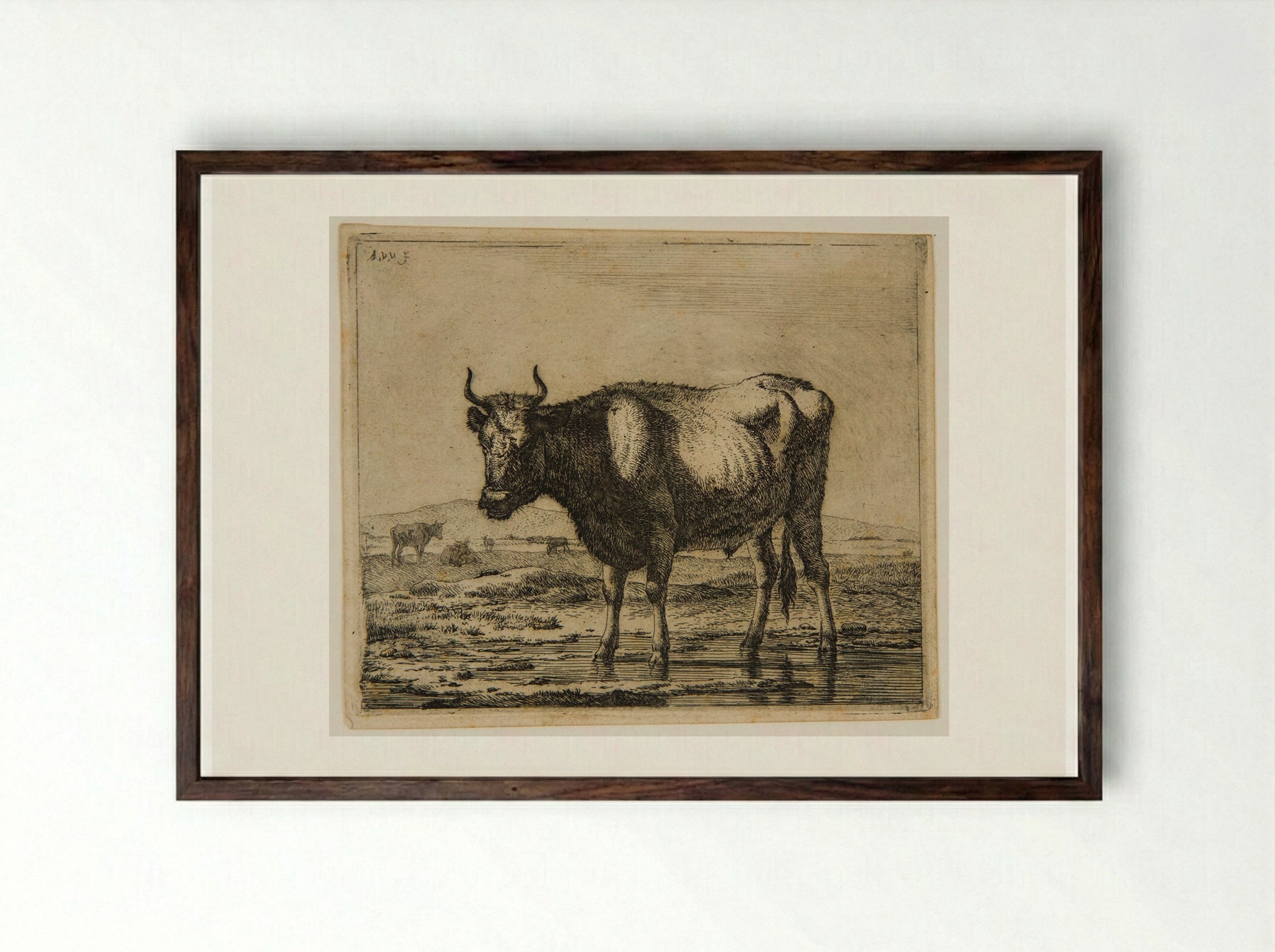 Ox Standing in the Water - Adriaen van de Velde - Framed Print Dark Wood