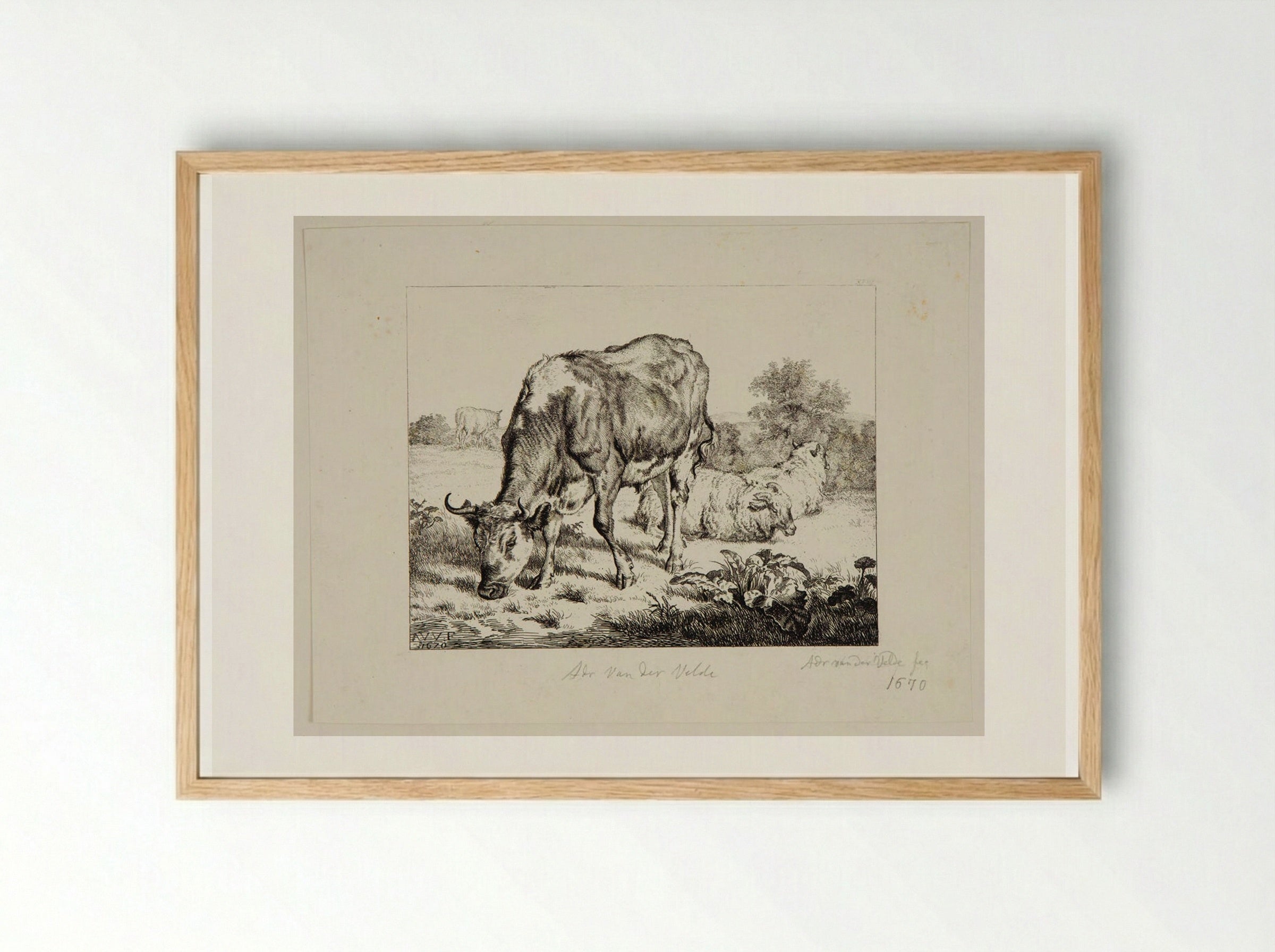 Ox and Three Sheep - Adriaen van de Velde - Framed Print Wood