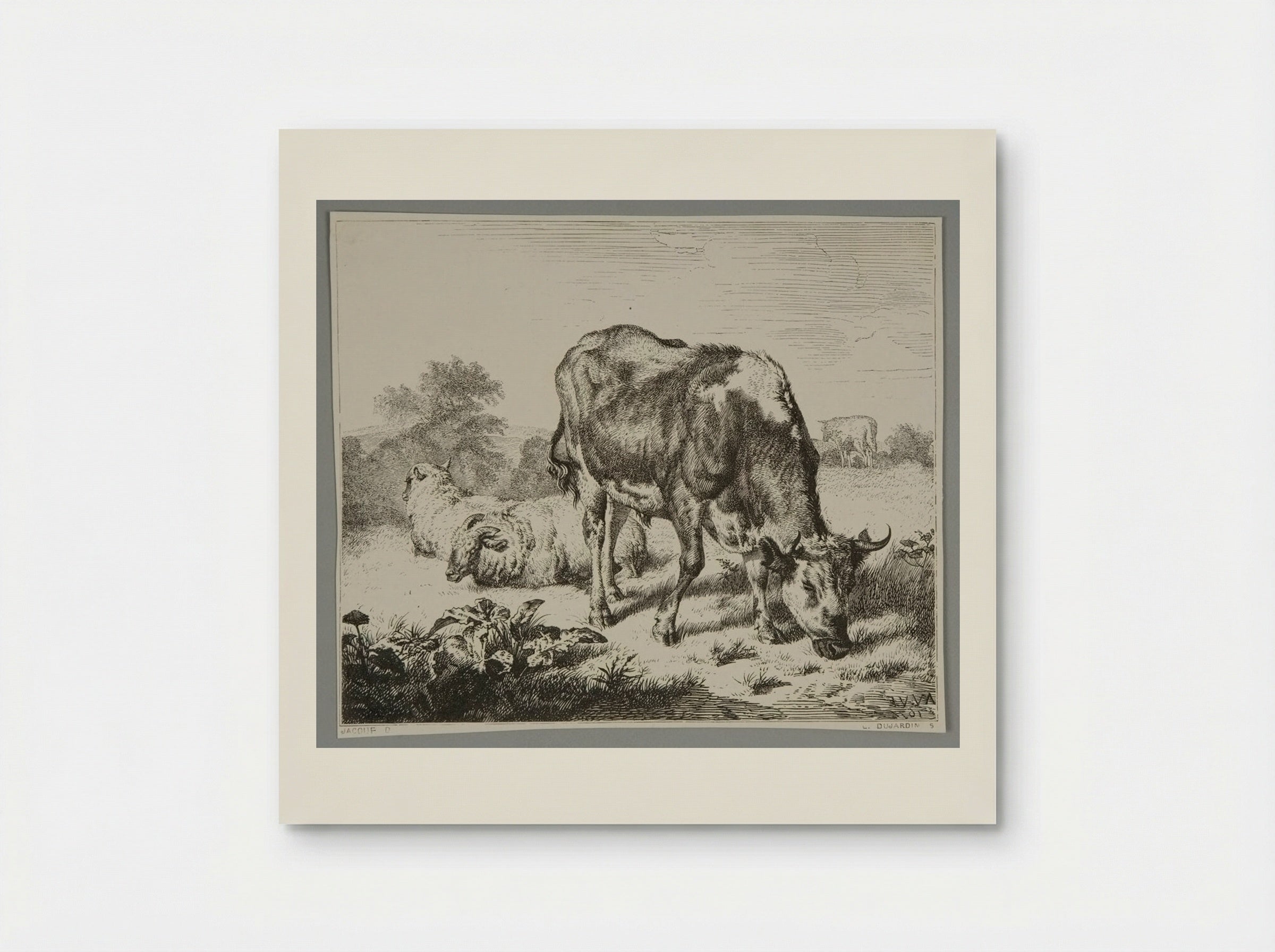 Ox and Three Sheep - Louis Dujardin - Poster