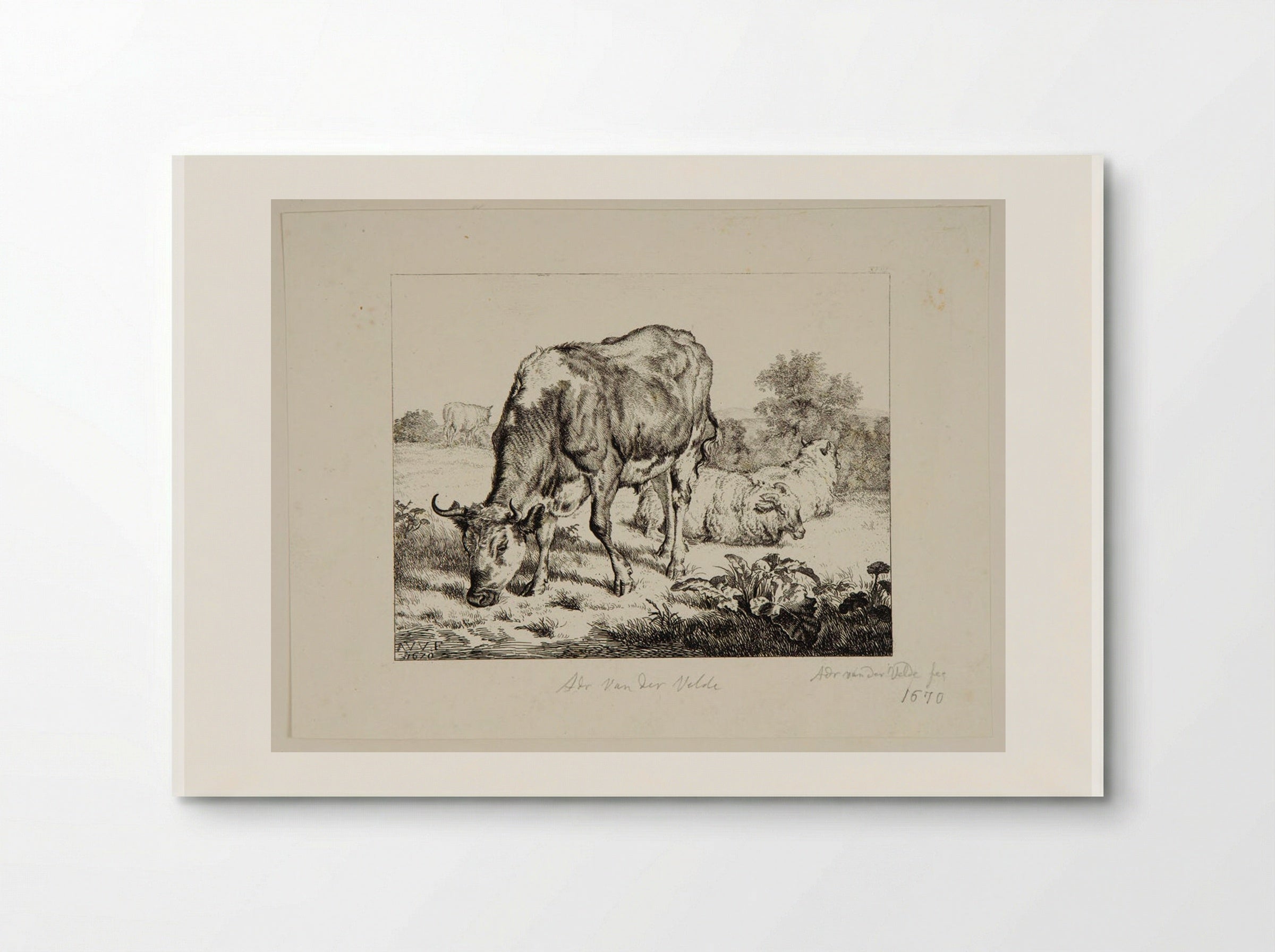 Ox and Three Sheep - Adriaen van de Velde - Poster