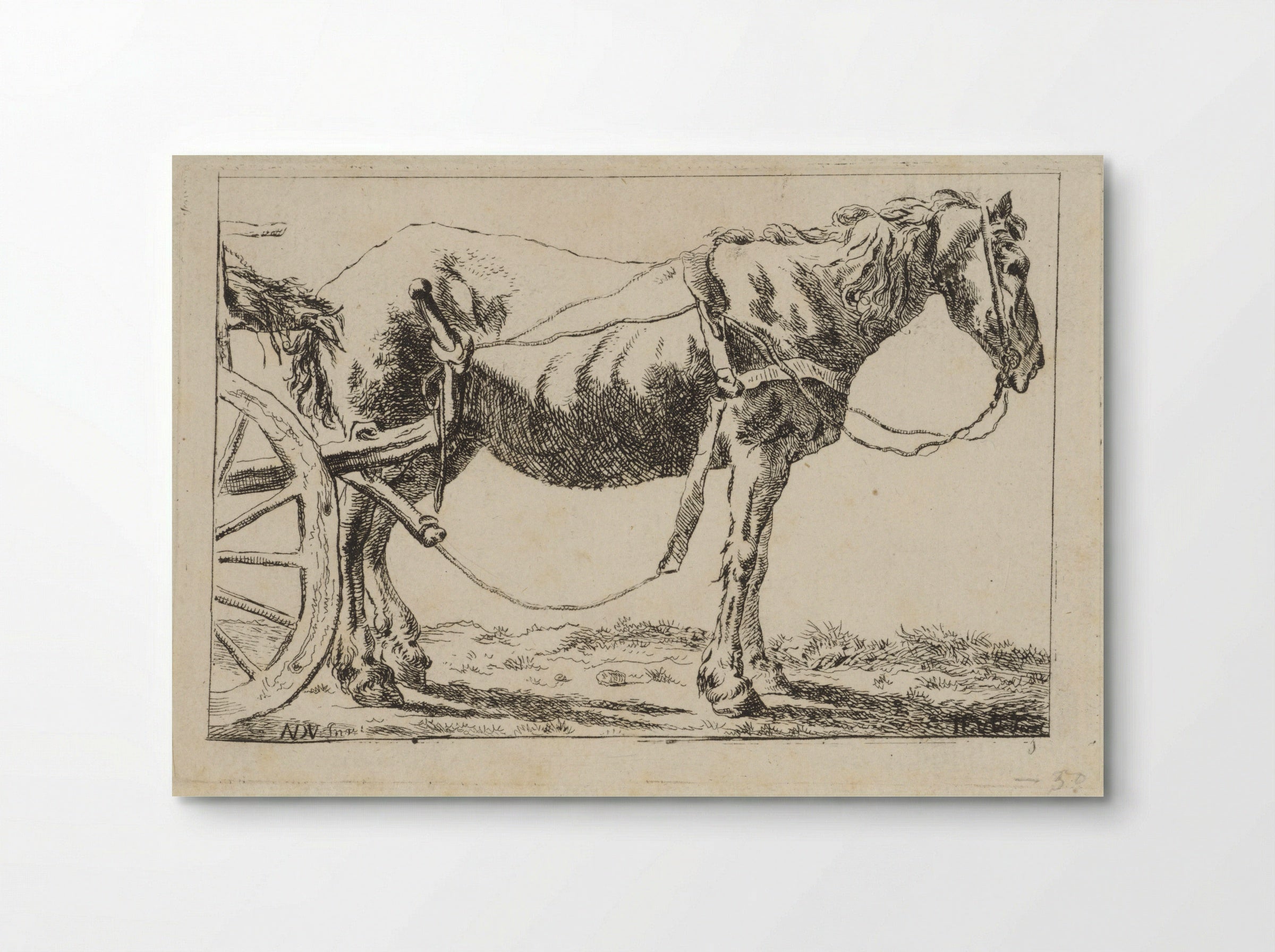 Paard voor een kar ingespannen - Jacob Elias van Varelen - Poster