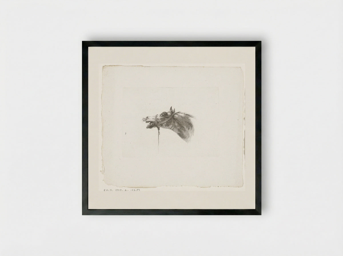Paardenhoofd met open bek, naar links - Joannes Bemme - Framed Print Black